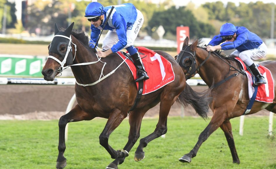 Winx wins her 21st consecutive race Winx wins her 21st consecutive race