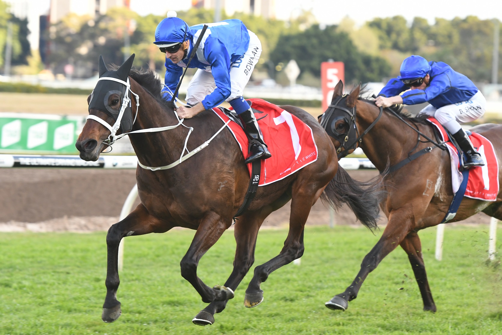 Turnbull Stakes What you need to know Sports News Australia