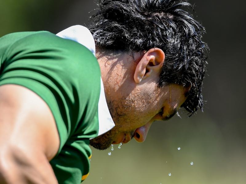 Kangaroos brace for World Cup heat Sports News Australia