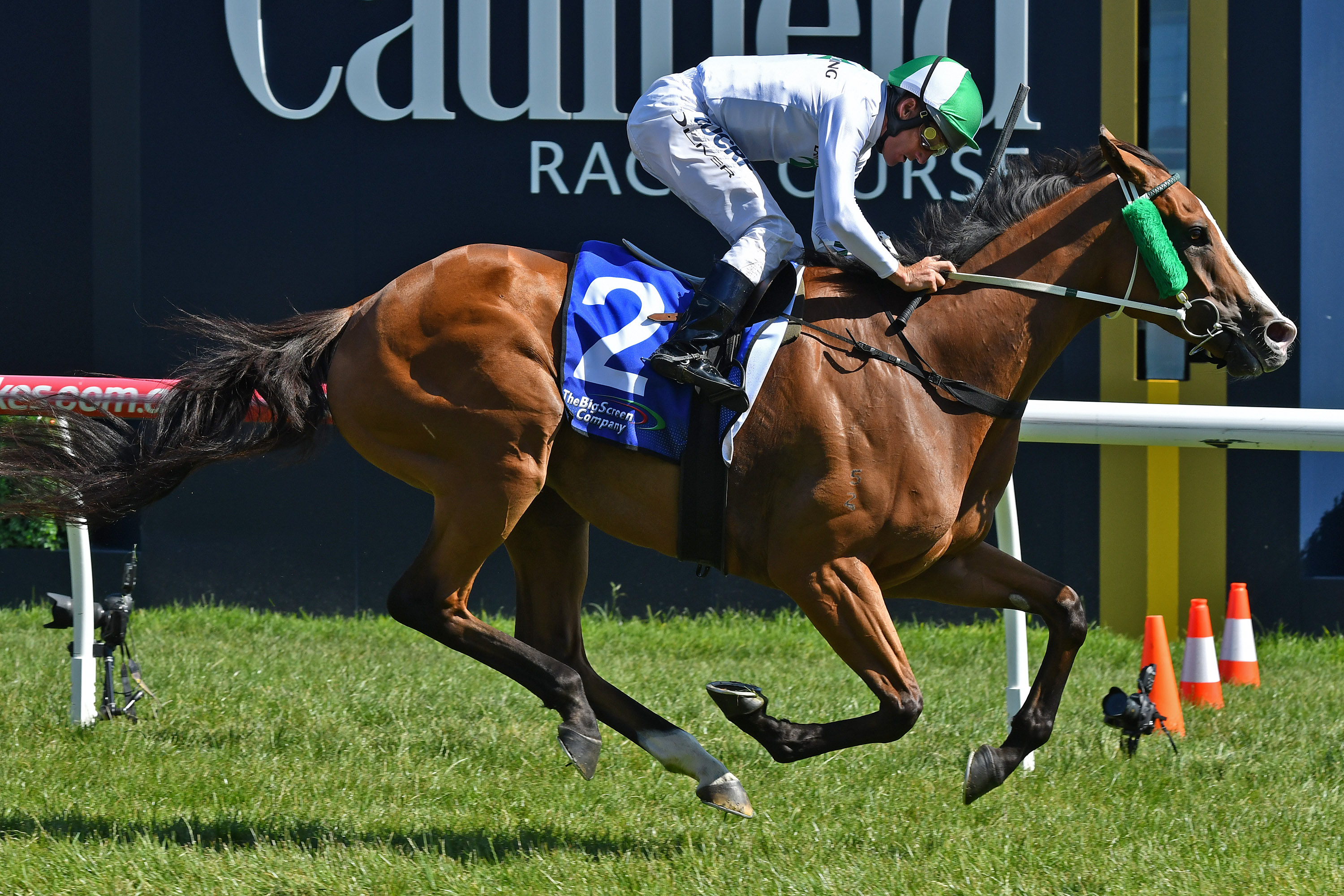 Payroll to target Magic Millions Trophy | Sports News Australia