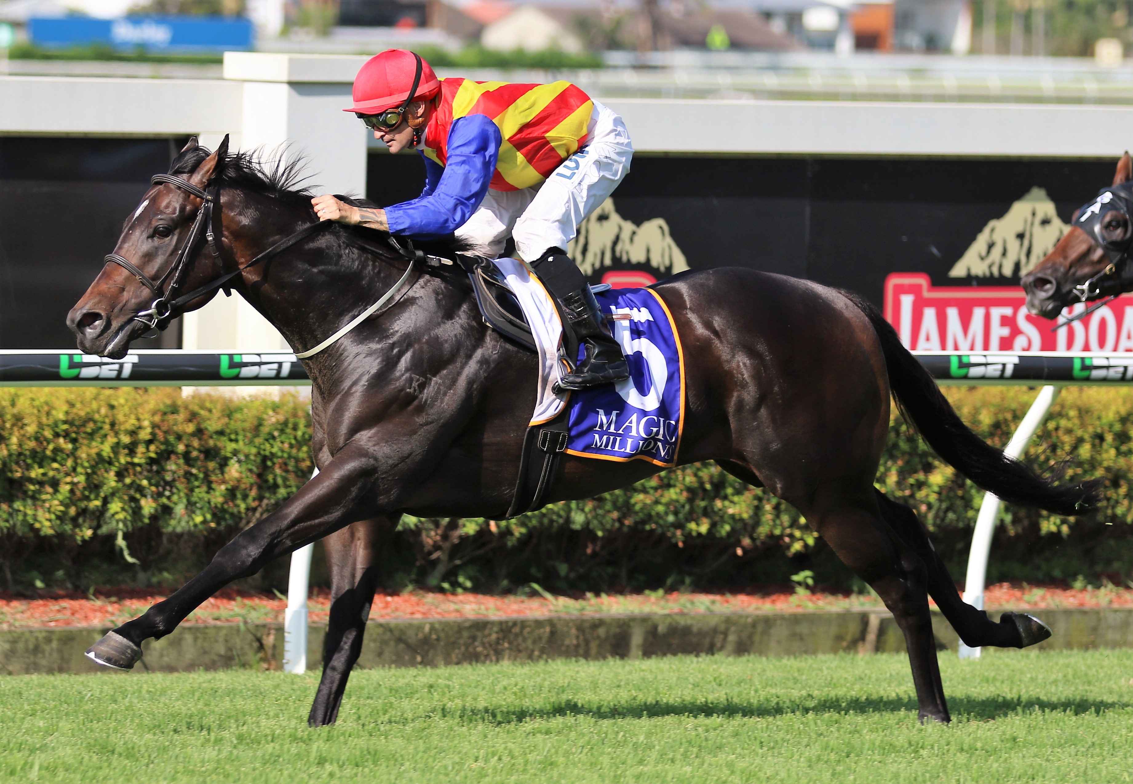 Magic Millions Guineas Final Field 2018 Sports News Australia