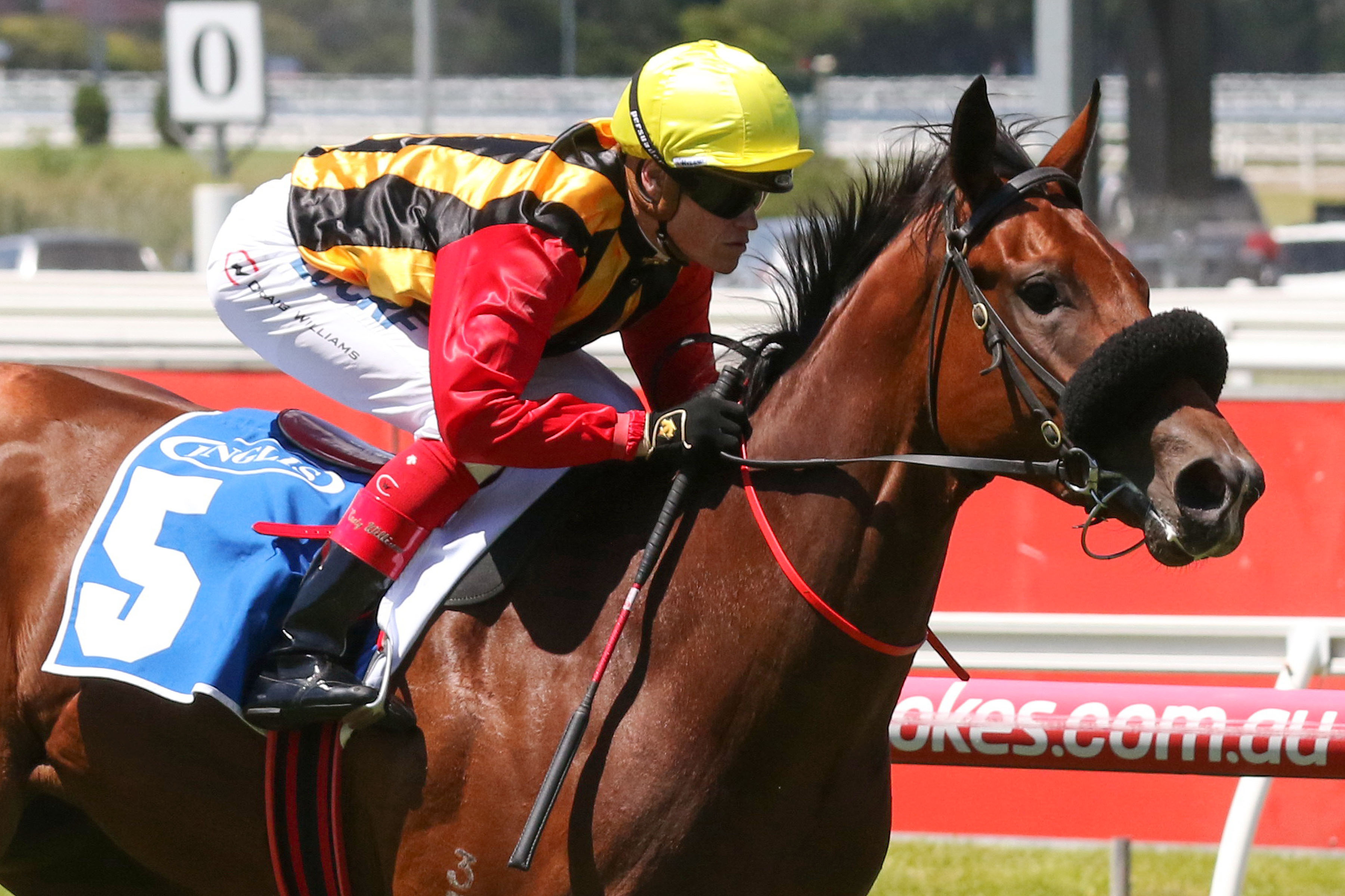 Riders booked for Blue Diamond Stakes fancies Sports News Australia