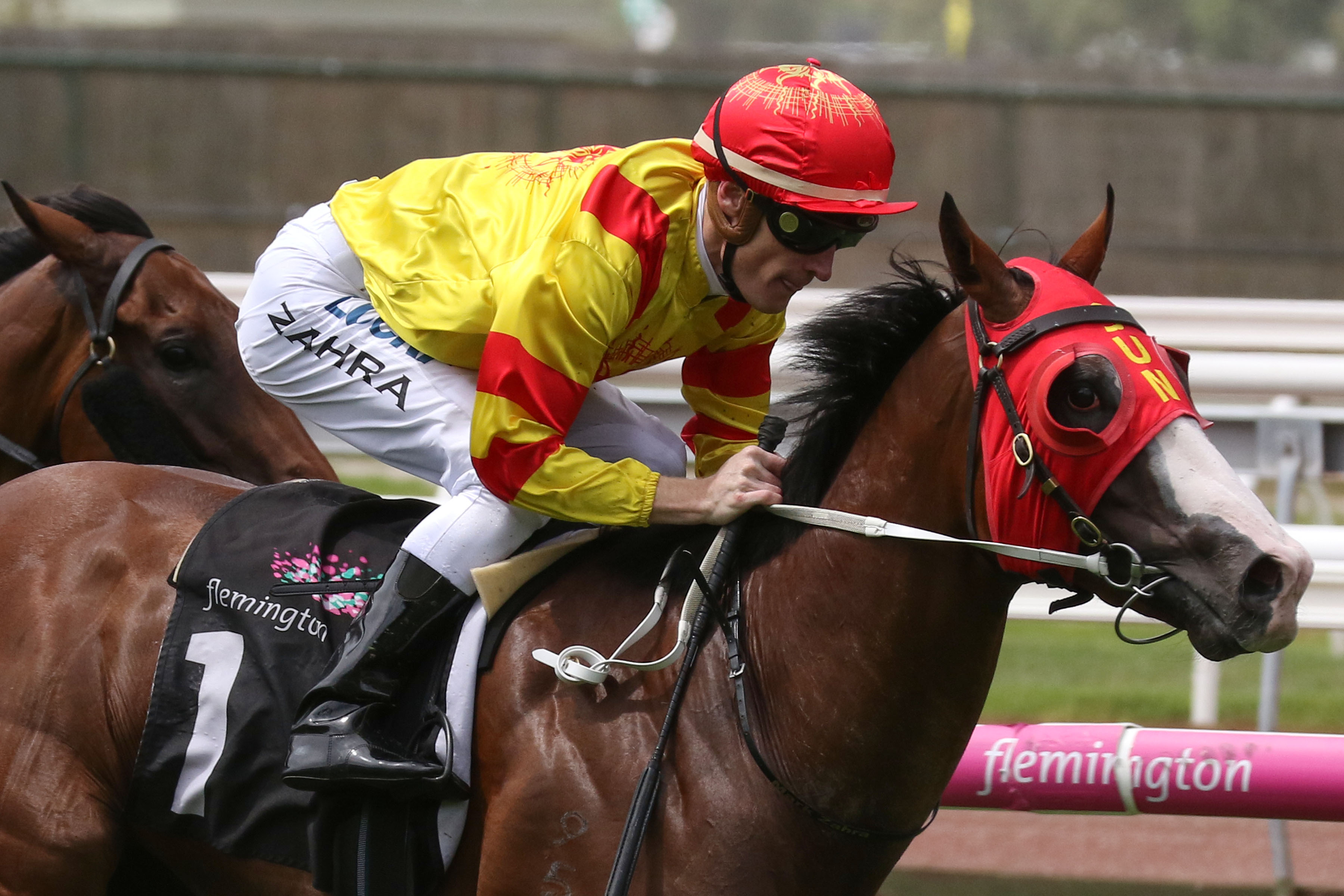 Mick Price after another Blue Diamond Stakes Sports News Australia