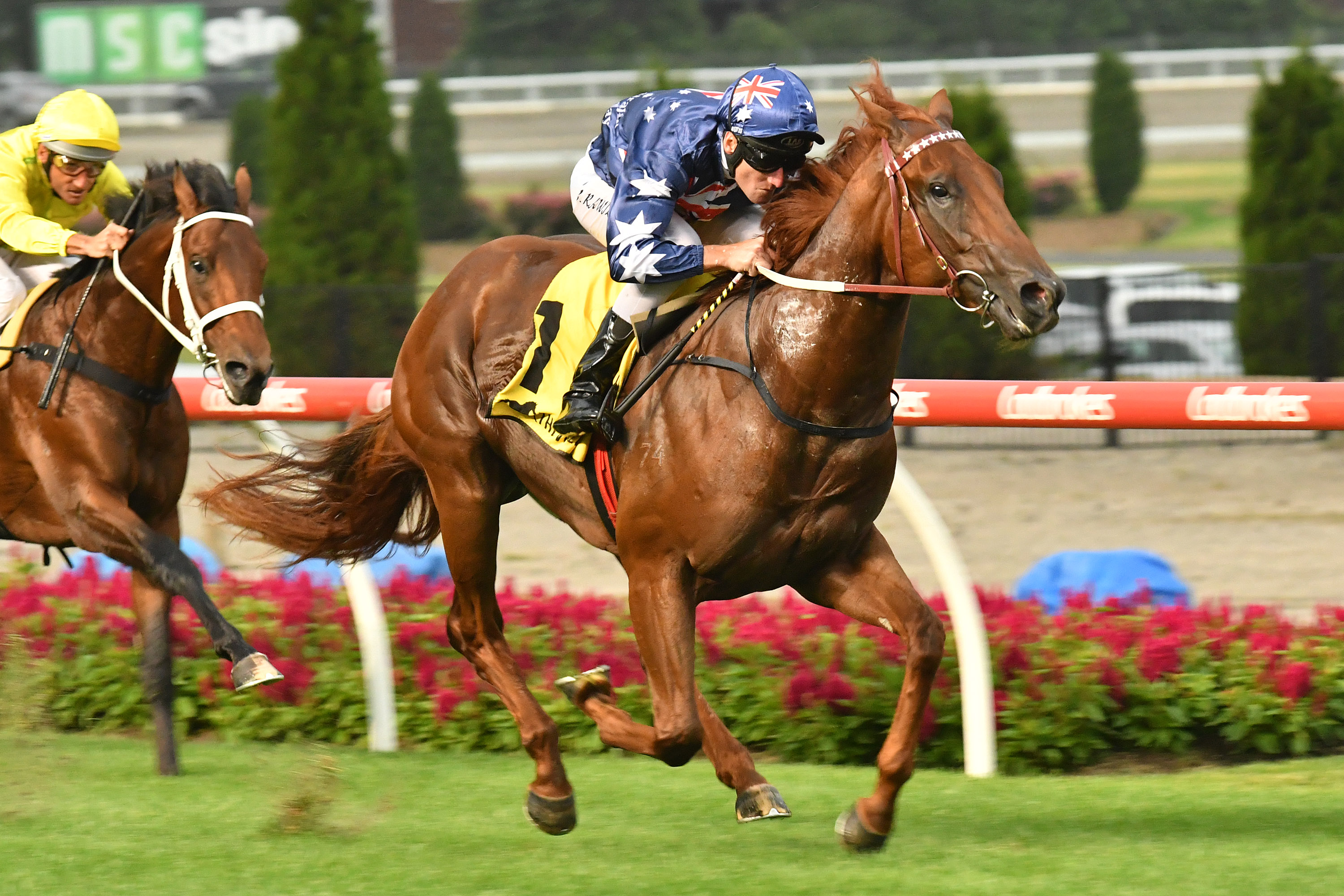 Two scratchings from Blue Diamond Stakes Field | Sports News Australia