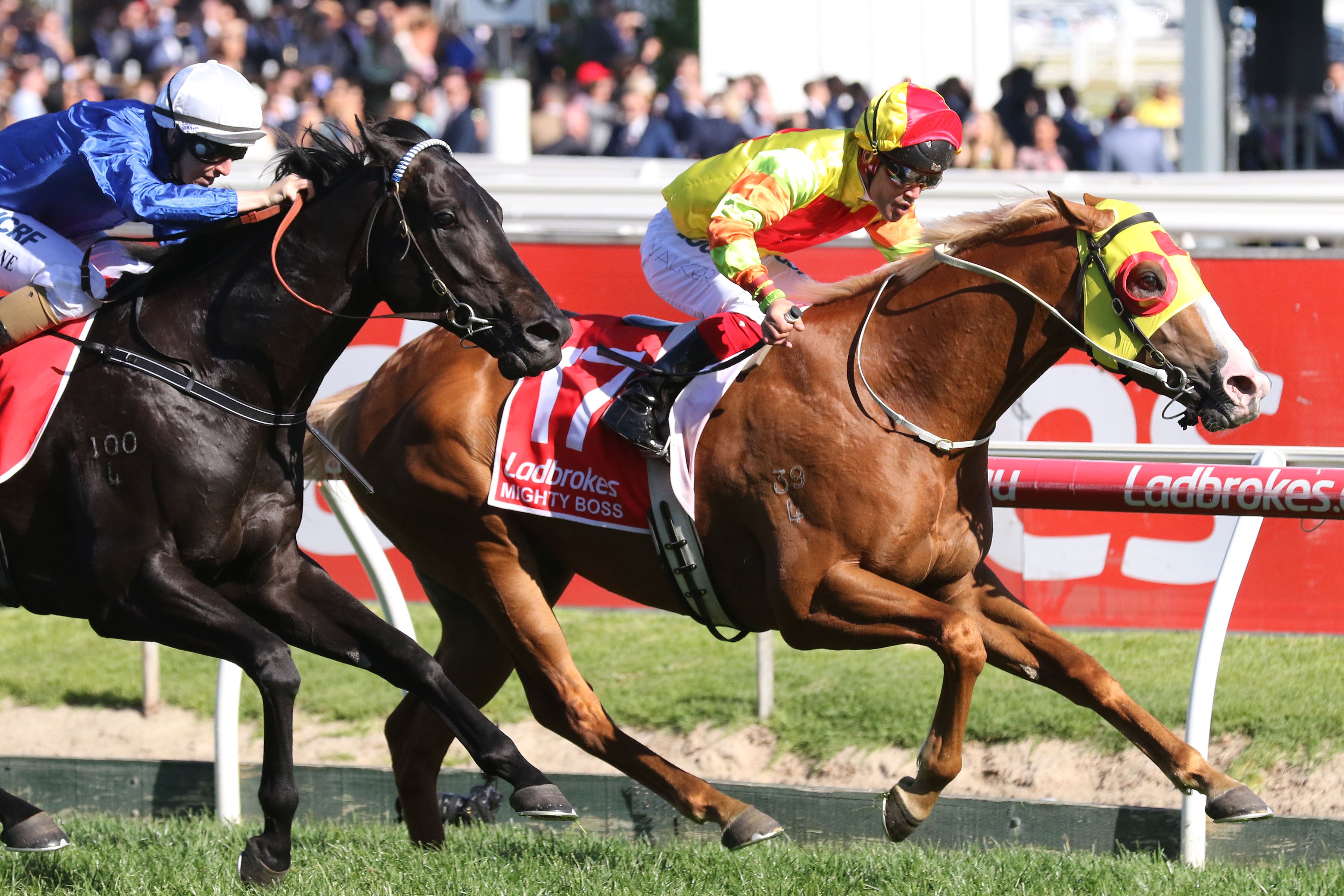 Mick Price trio ready for Australian Guineas Sports News Australia