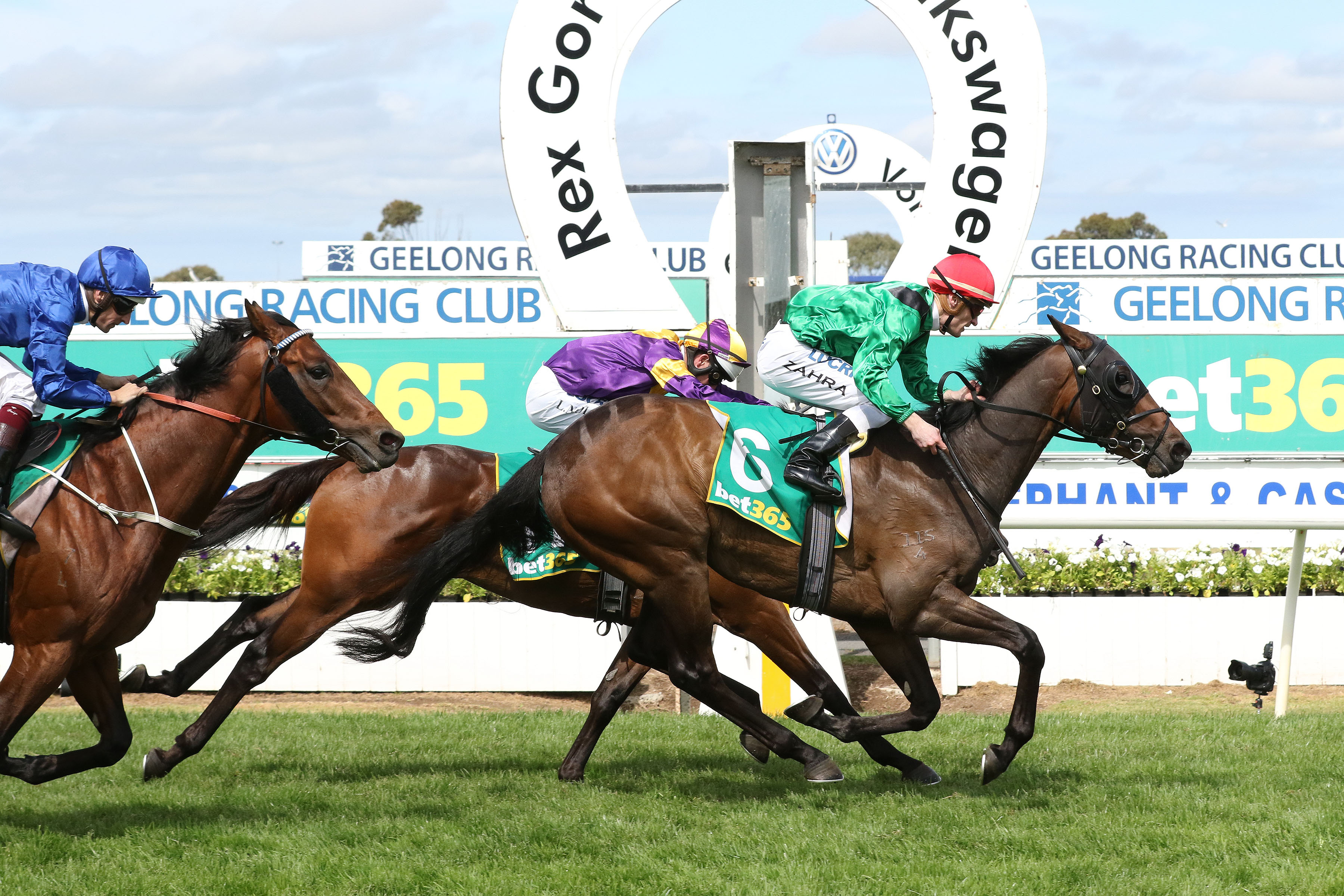 Geelong Cup Day at Geelong Tips, Race Previews and Selections 20/10/2021 Sports News Australia