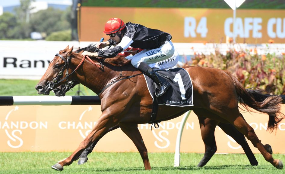 golden slipper market field for golden slipper 2018 sports news australia golden slipper market field for golden slipper 2018 sports news australia