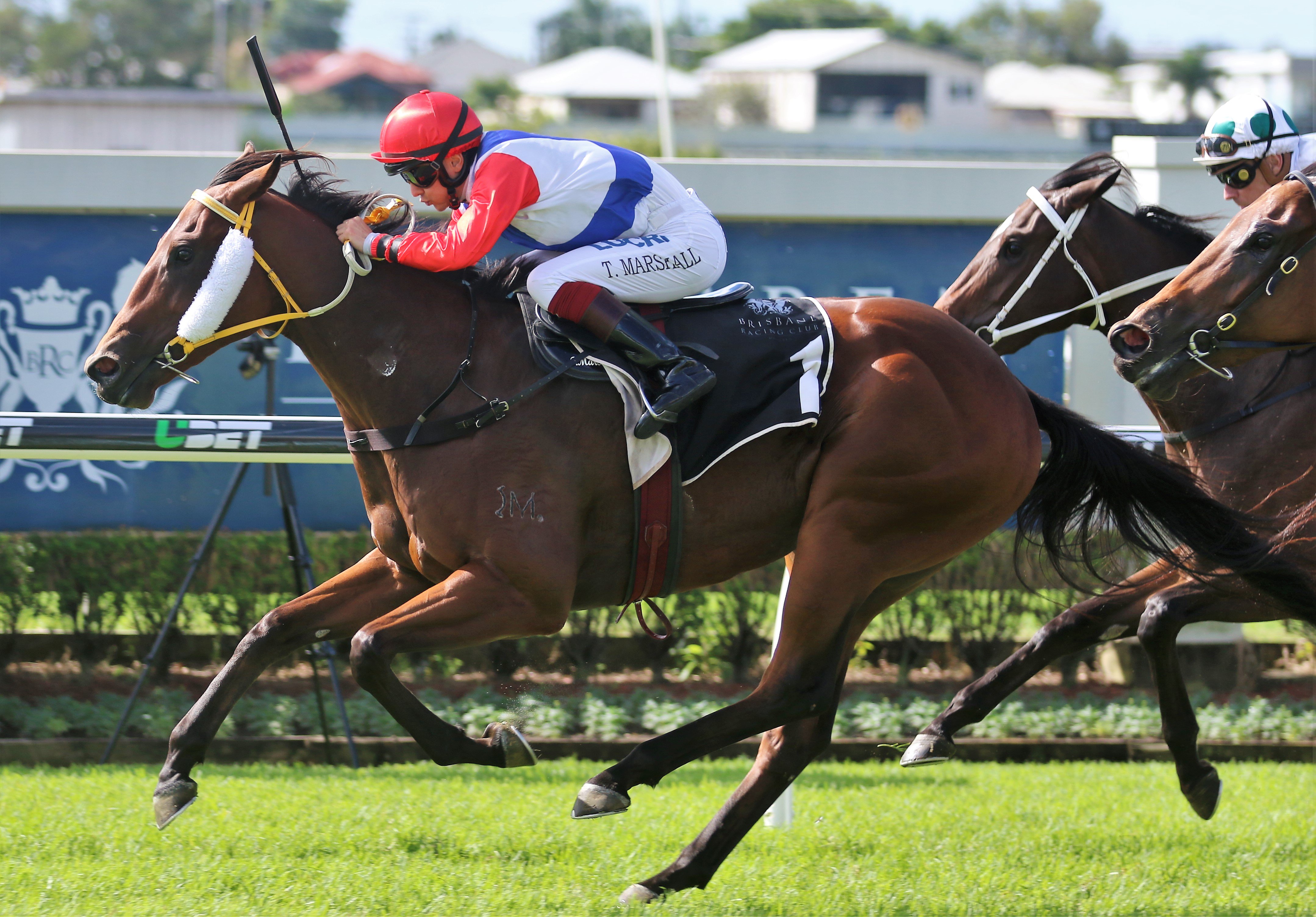 BRC Sires Produce Stakes An Option For Mishani Hustler Sports News 