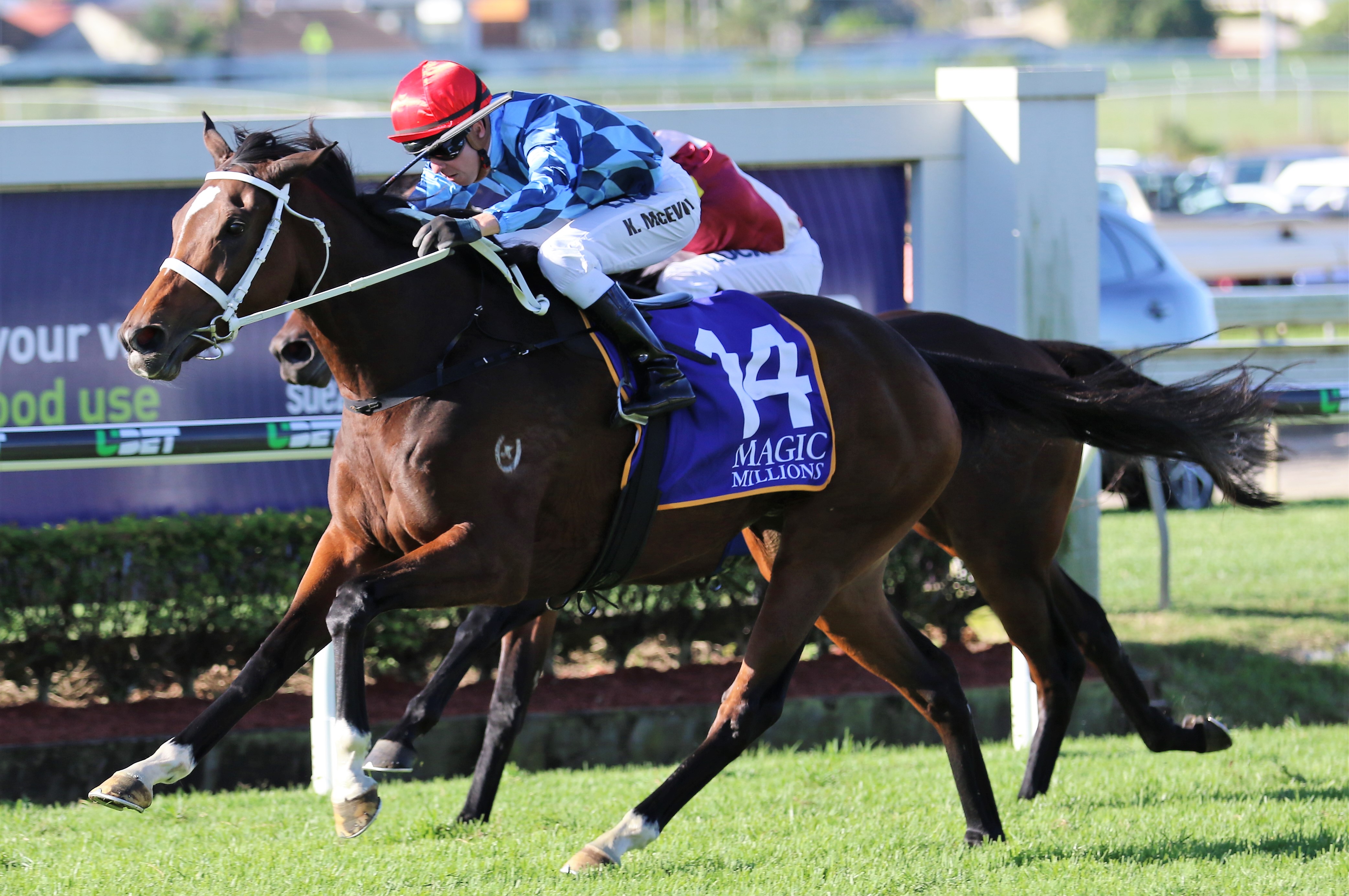 2018 Caulfield Cup Final Field released Sports News Australia