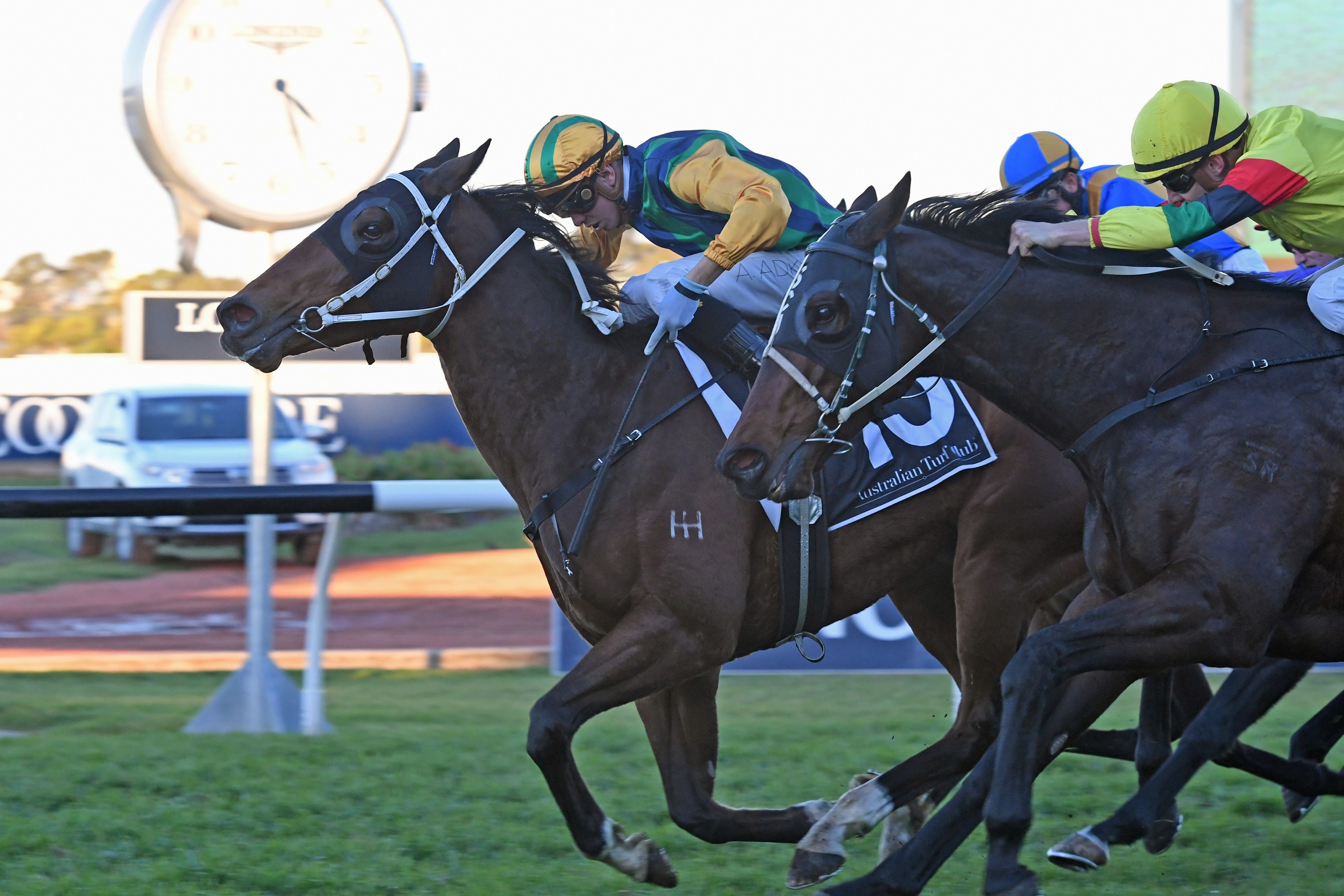 Easy Eddie to back up in the July Sprint at Randwick Sports News