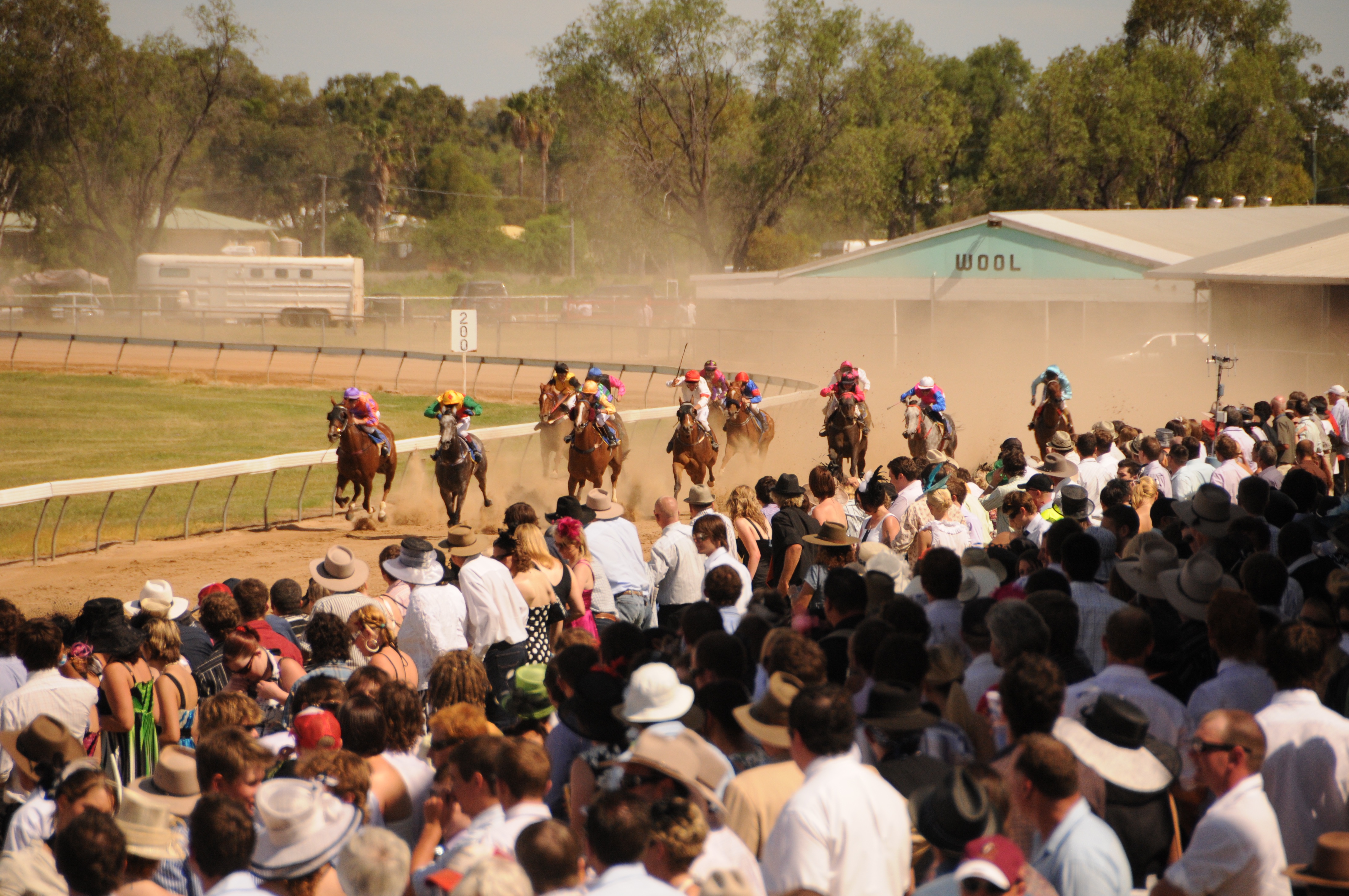 Roma Qld Races New race series for Queensland country | Sports News Australia