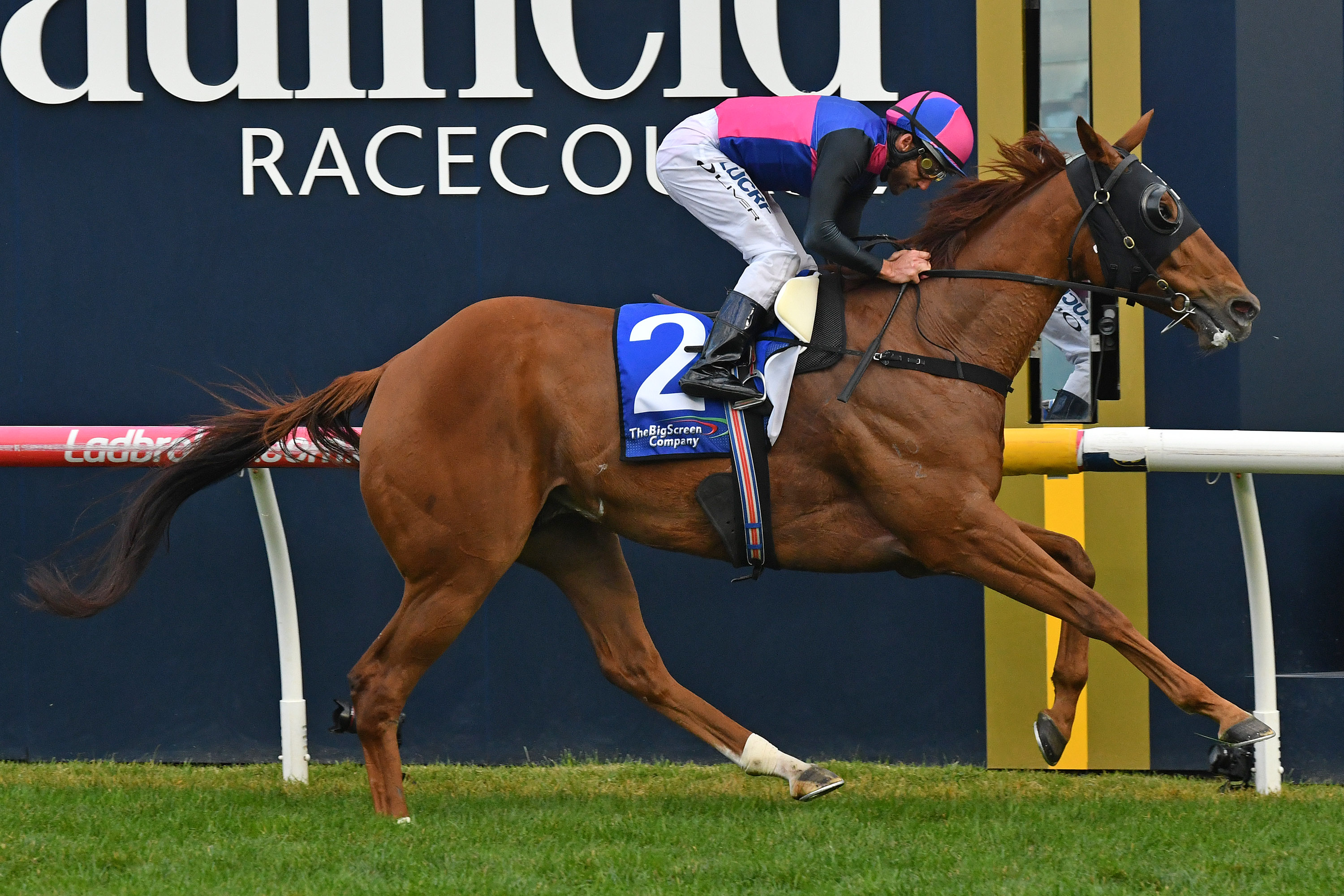 Memsie Stakes – What you need to know | Sports News Australia