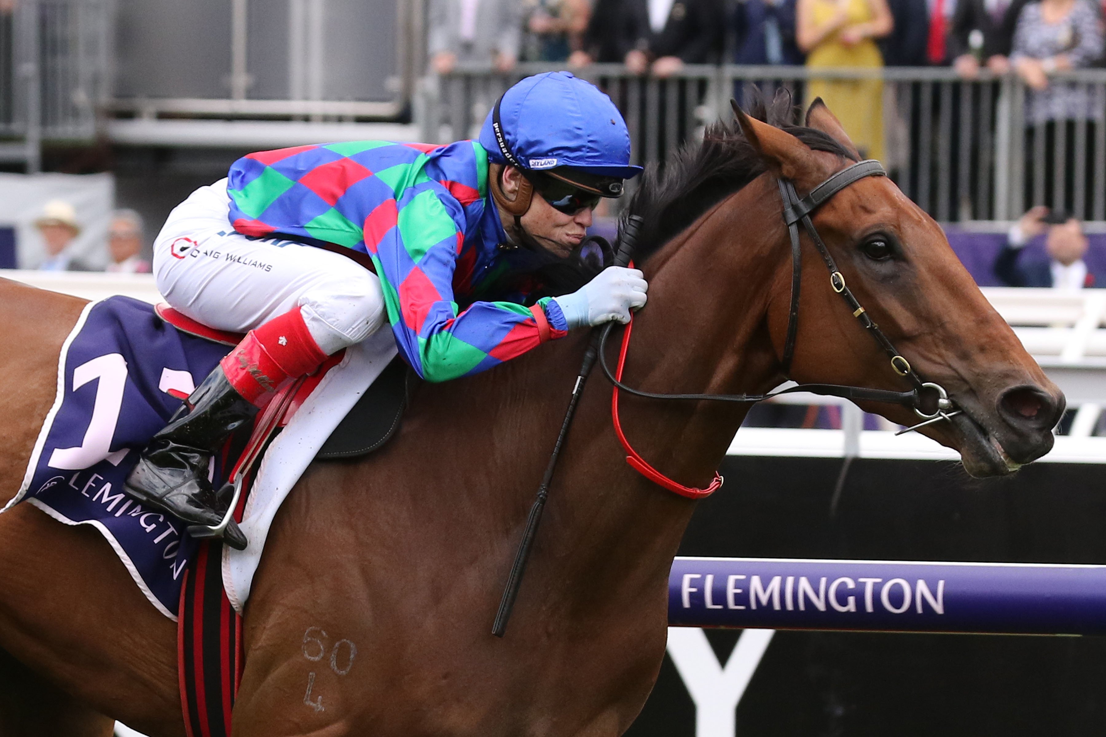 Trainer wins with first Flemington runner during Melbourne Cup week
