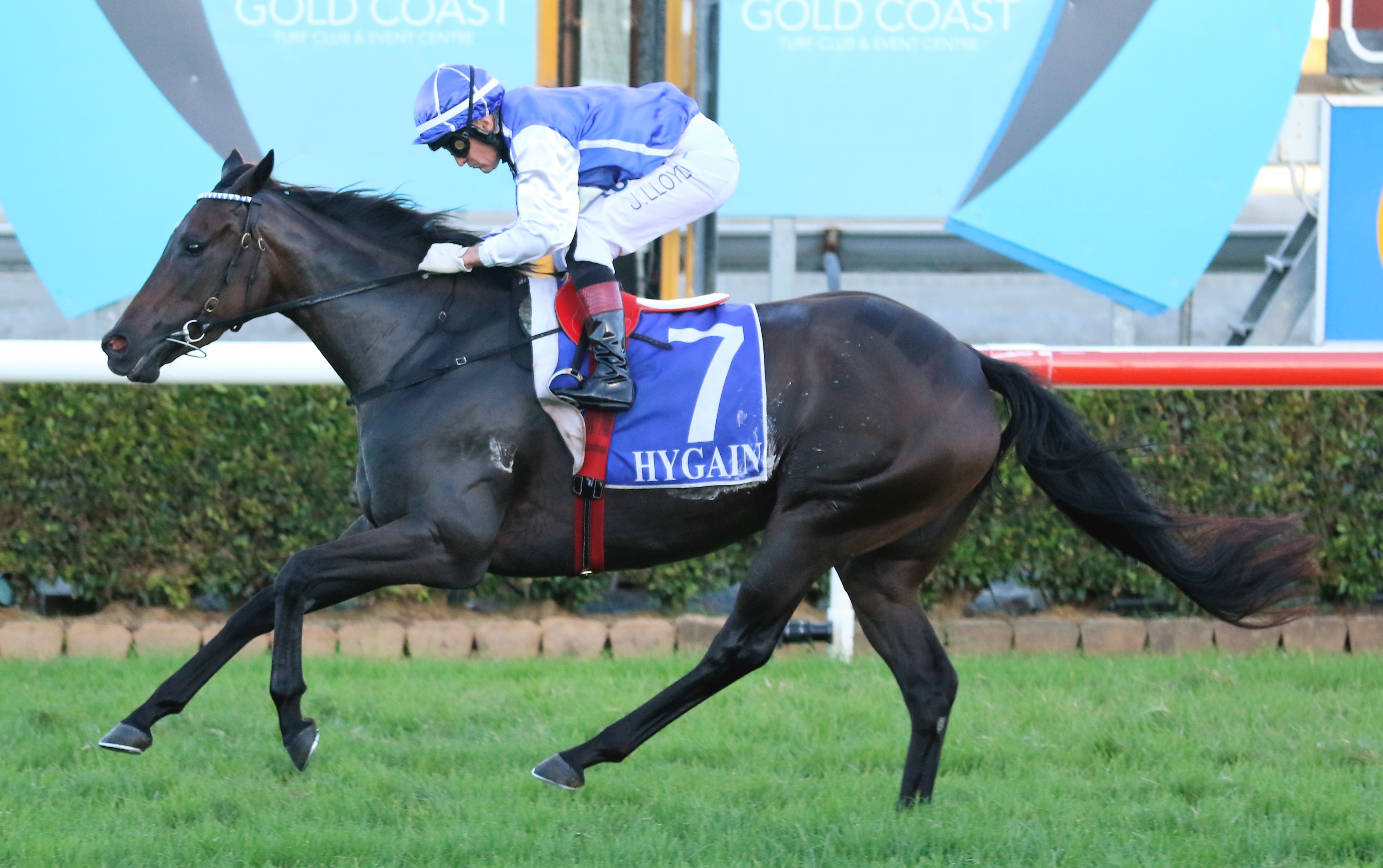 Toby Edmonds Toby Edmonds-trained mare set for Legacy Classic | Sports News Australia