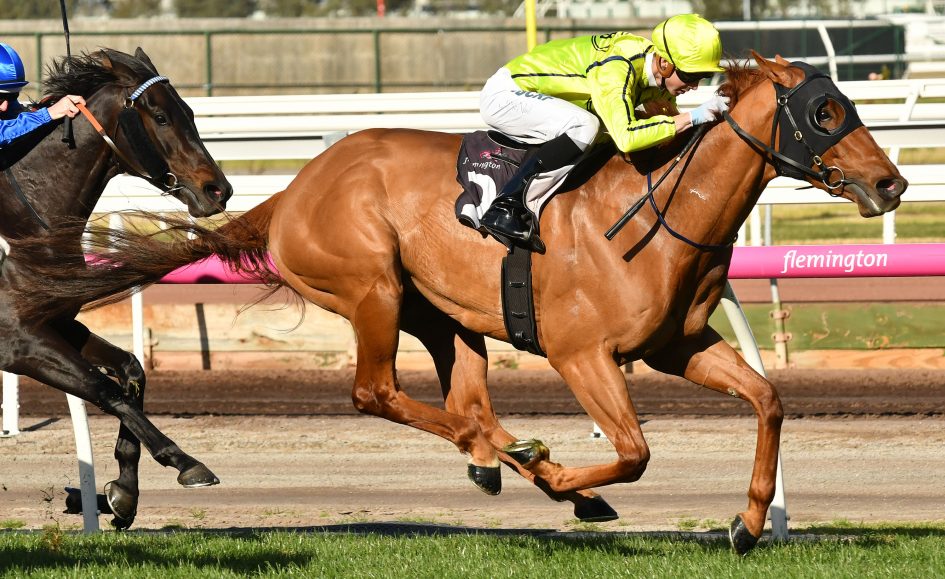 Mr Money Bags aims for VOBIS Gold Bullion win Sports News Australia