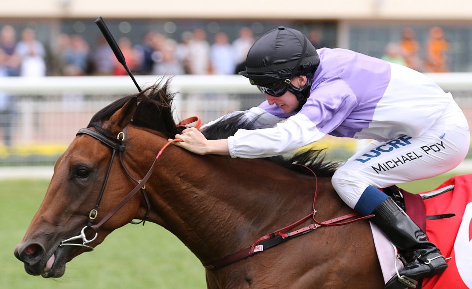 Henry Dwyer pinpoints Inglis Dash field for Tropezina Sports News