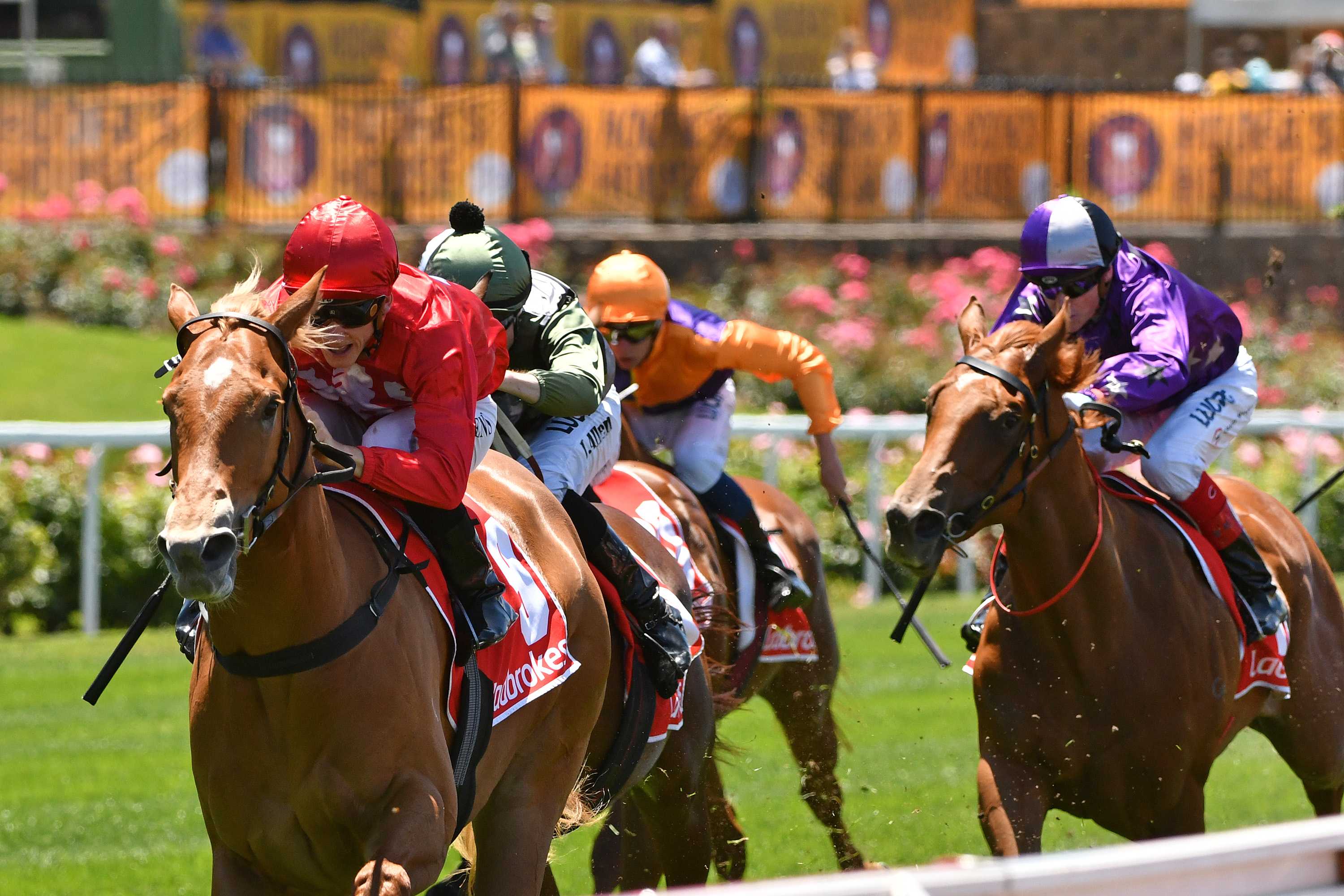 105 horses remain in Blue Diamond Stakes contention Sports News Australia