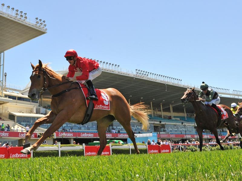 Fillies Prelude to provide 2019 Blue Diamond Stakes ...