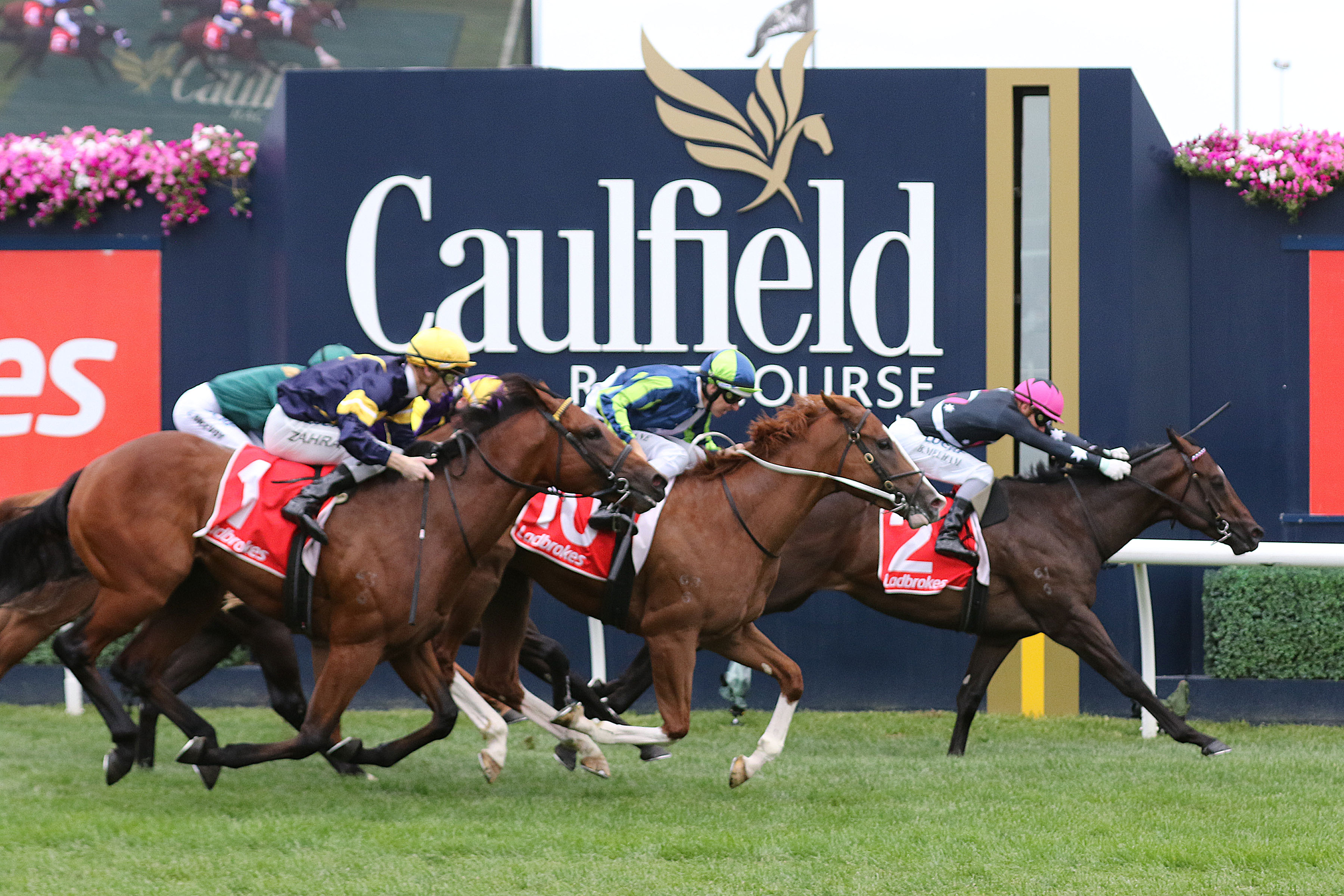 Mick Price after another G1 Blue Diamond Stakes Sports News Australia