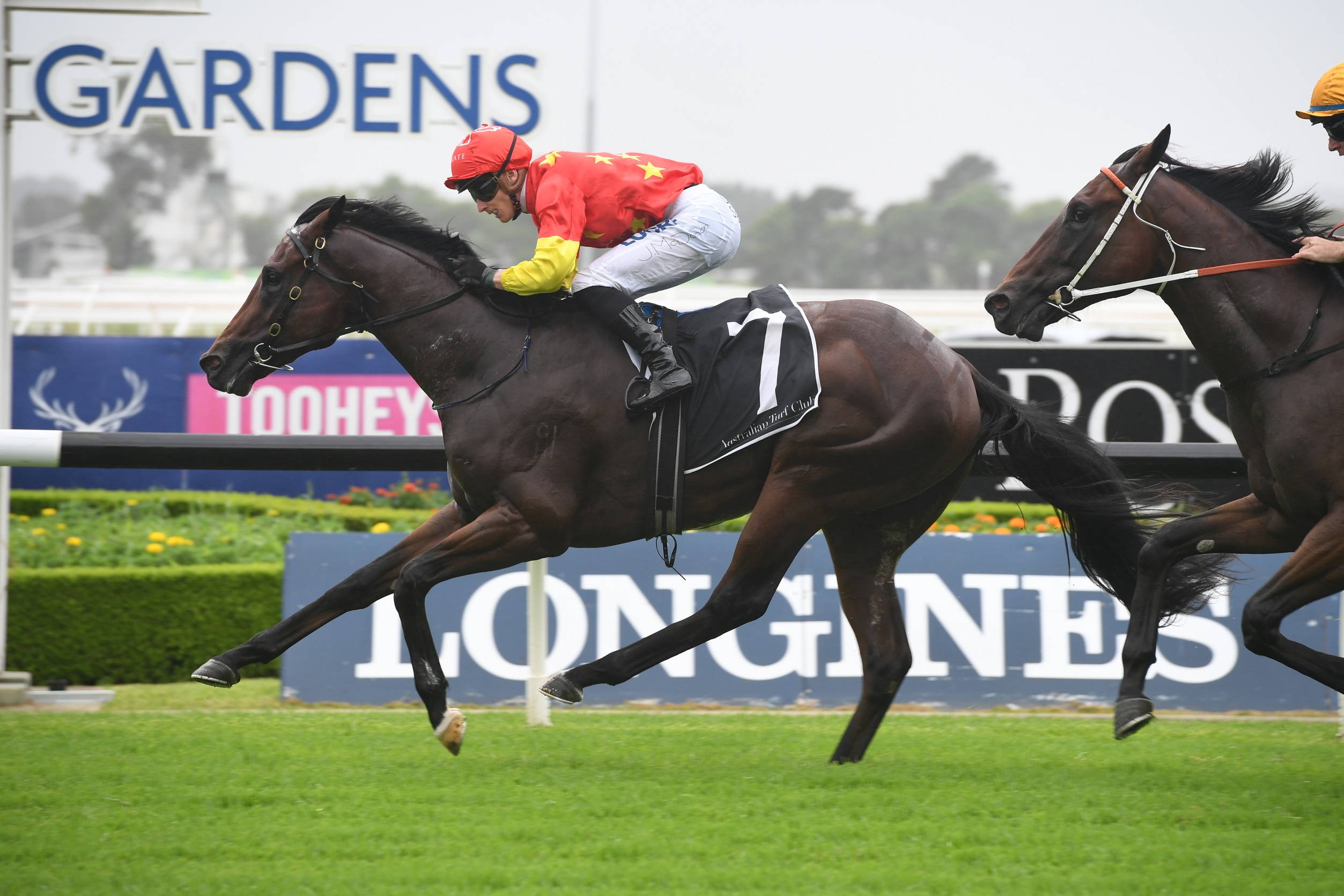Black Opal Stakes day Tips and Bets – Canberra Races 10/3/2019 | Sports ...