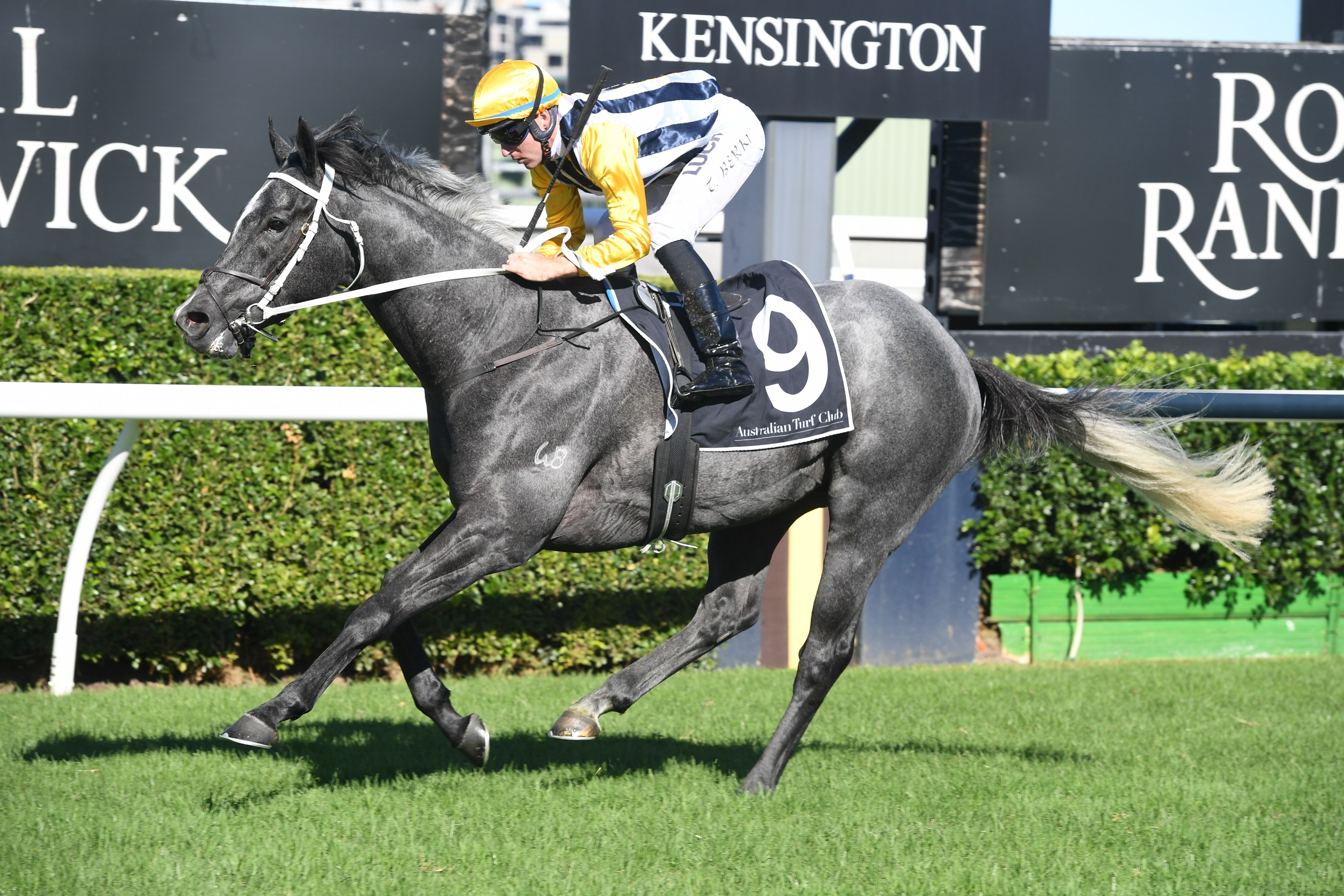 Randwick race set to be a guide to Queensland Derby and Oaks | Sports ...
