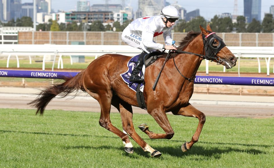 Young jockeys after first G1 in