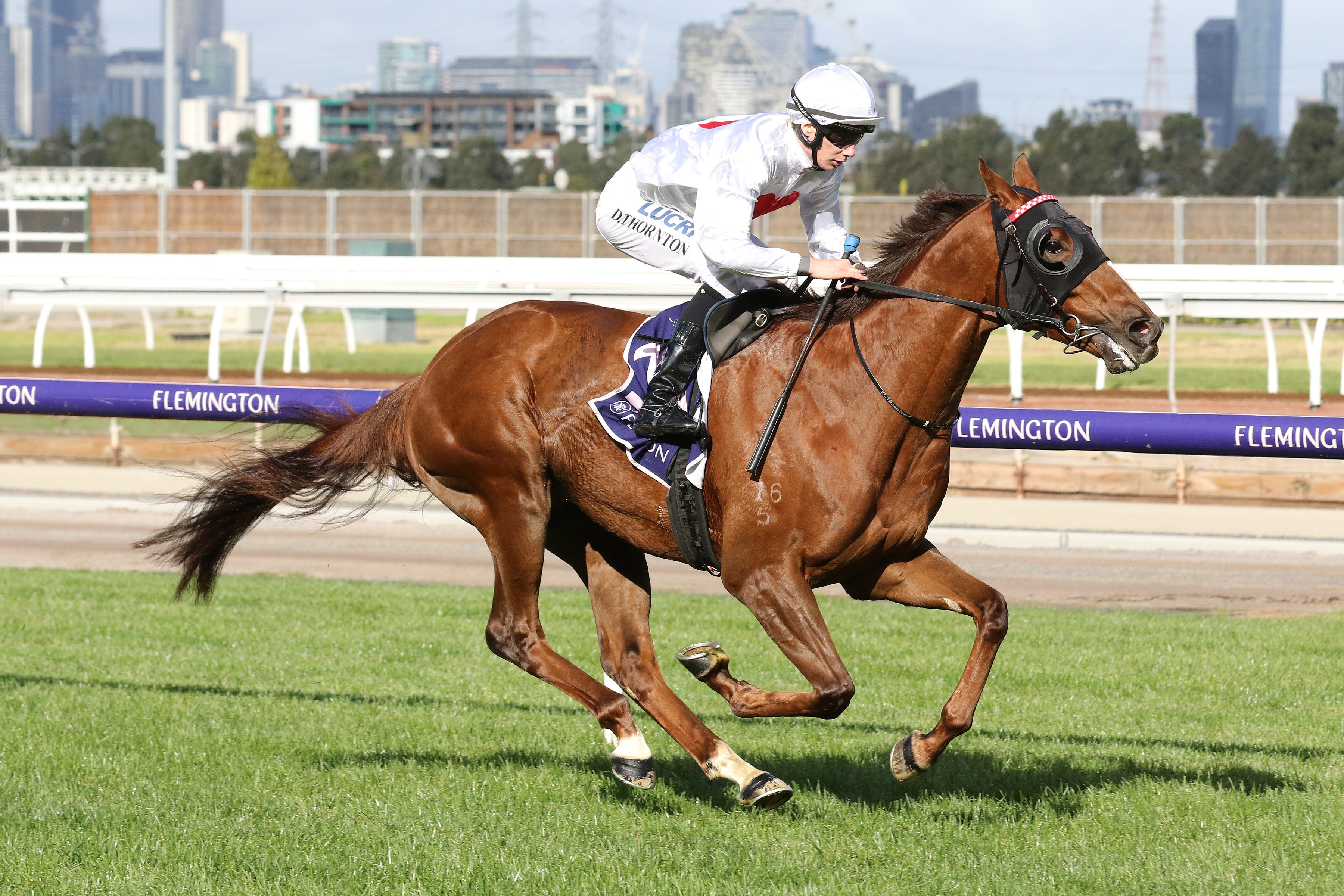 Young jockeys after first G1 in SA Derby Sports News Australia
