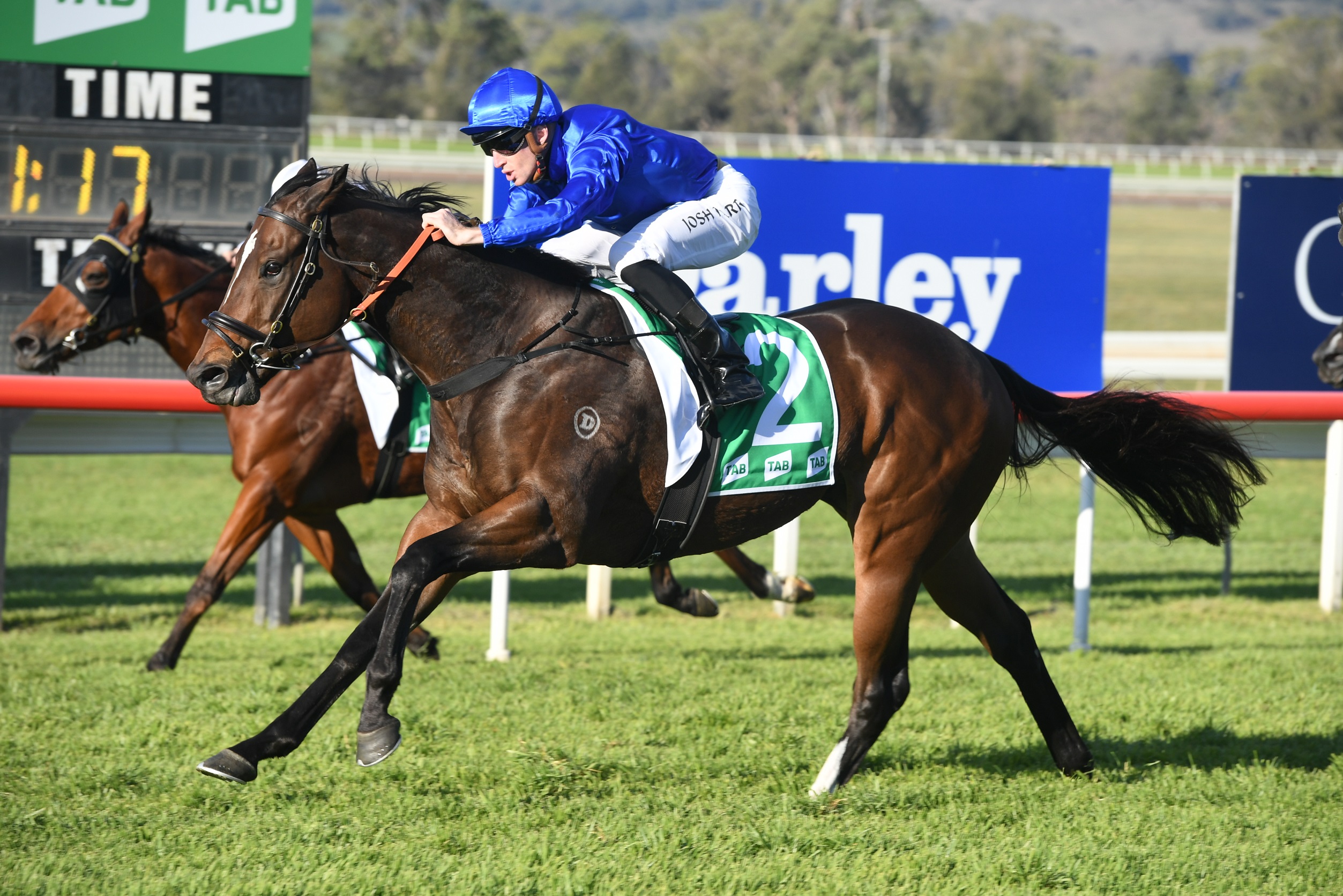Winterbottom Stakes Tips, Field Preview and Selections 2020 Sports