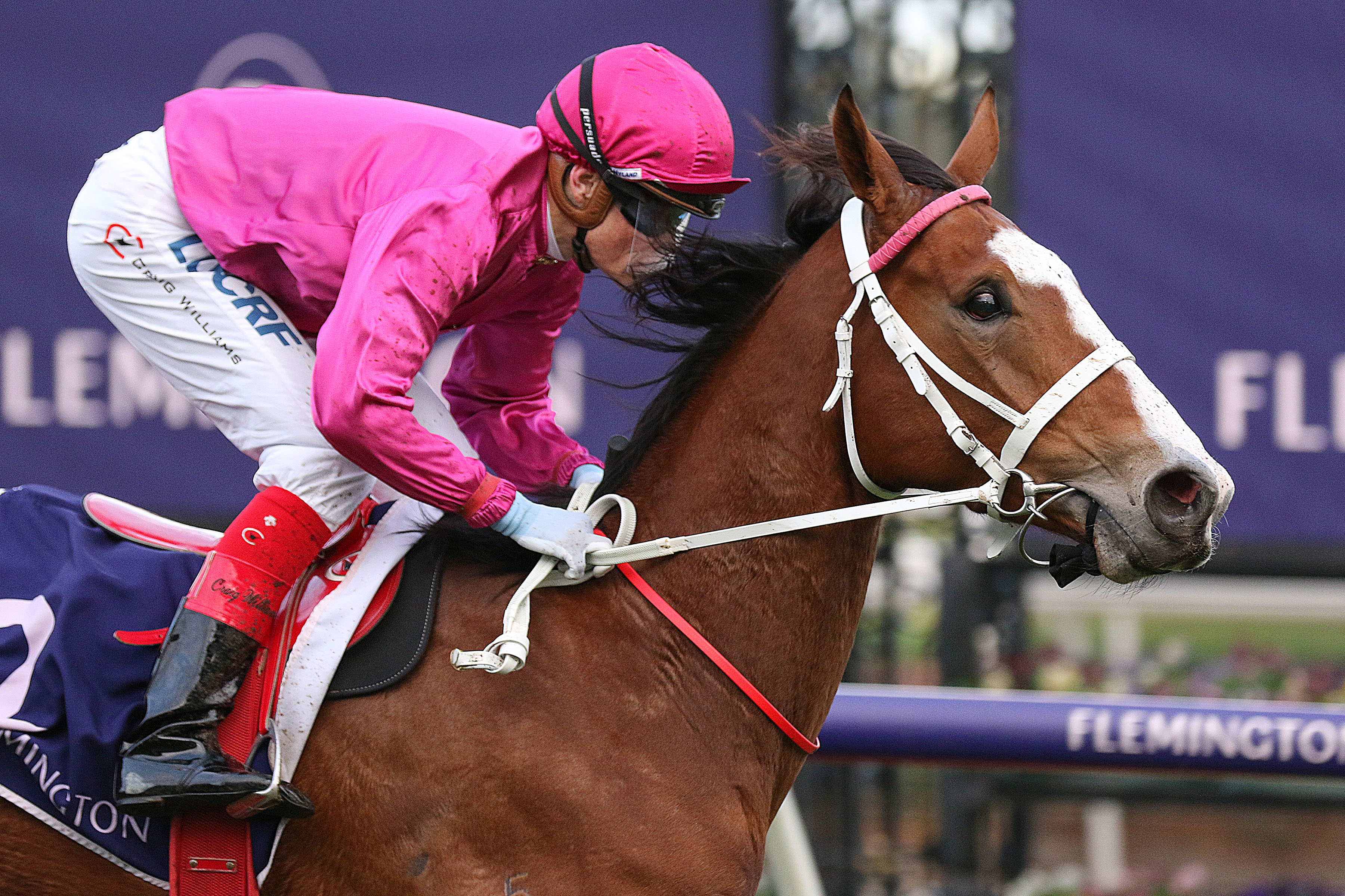 All Victorian Sprint Series Final day Tips and Bets Flemington Races