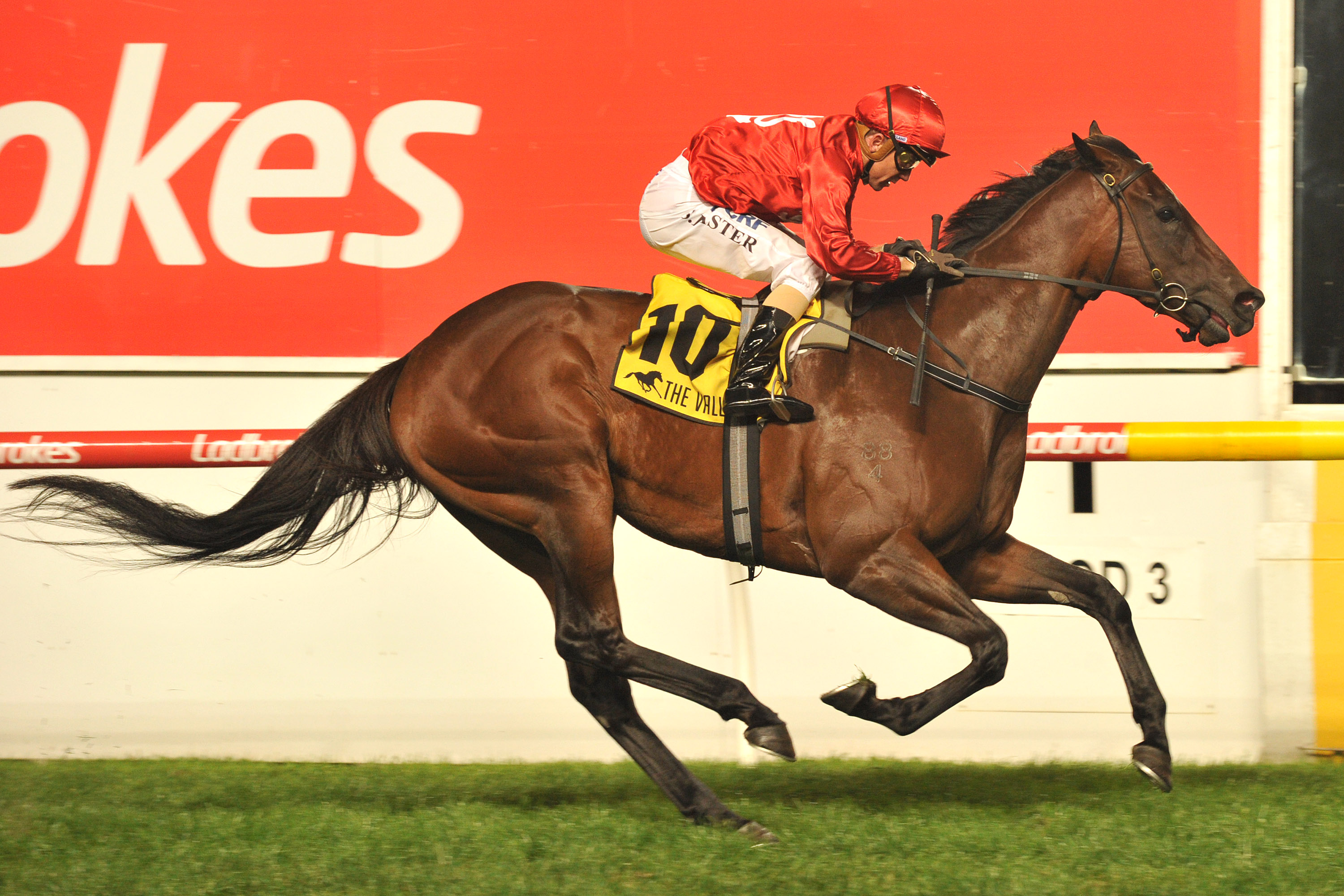 True Excelsior To Resume At Caulfield Sports News Australia