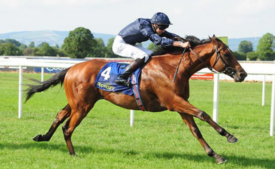 Lindsay Park acquire Caulfield Cup and Melbourne Cup horses Sports