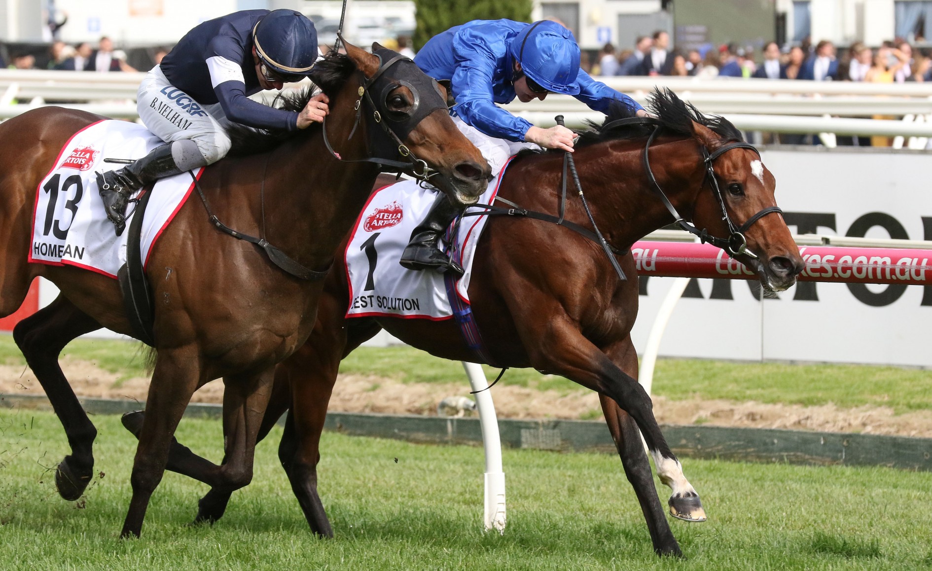caulfield cup first race