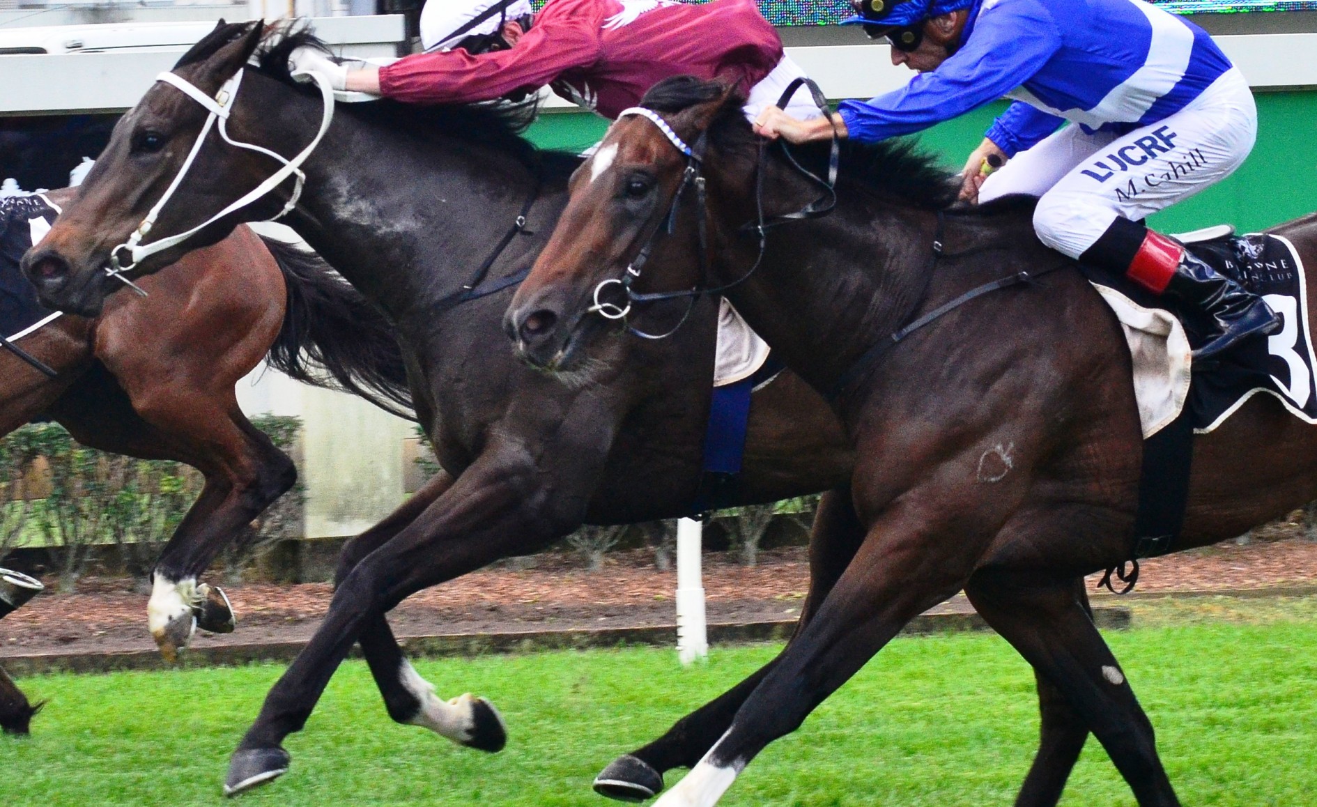 Xanthus looks to book spot in Magic Millions Guineas field Sports