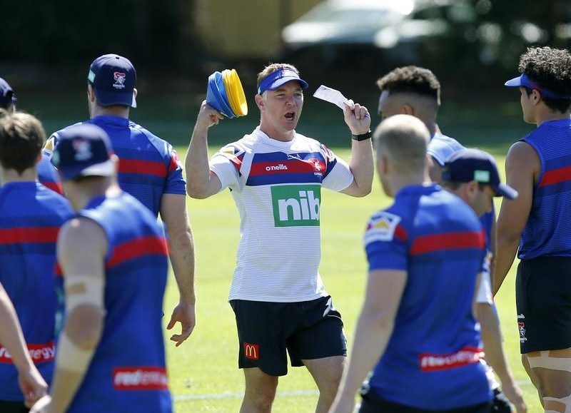 New Knights coach gets tough on day one Sports News Australia