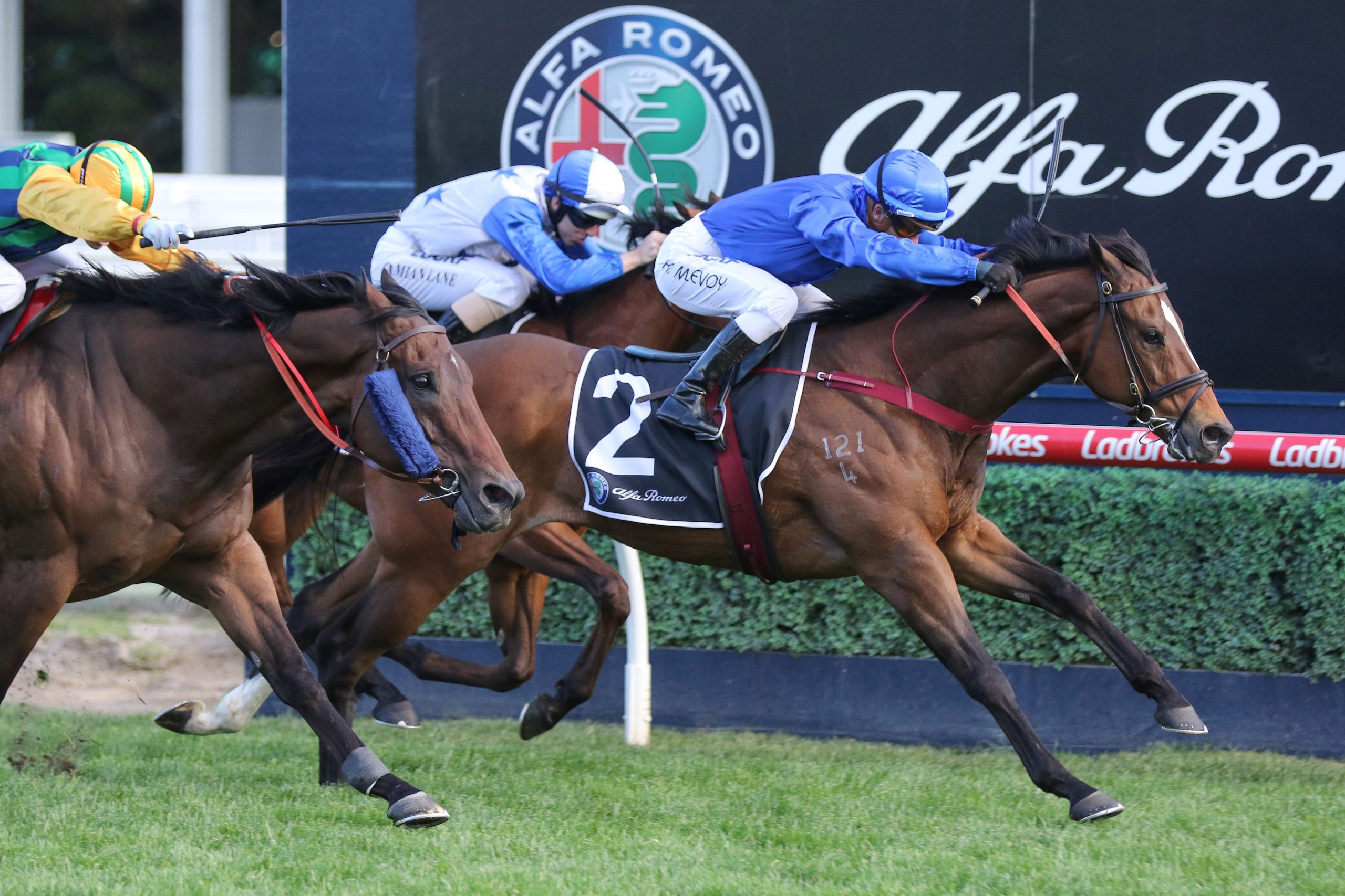 Winterbottom Stakes day Tips and Bets Ascot Races 30/11/2019 Sports