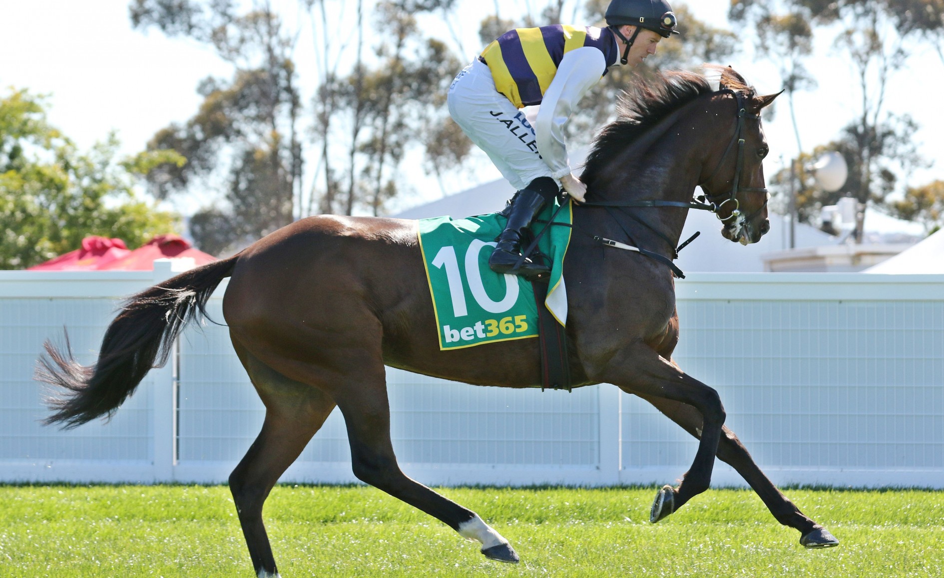 Mackinnon Stakes day Tips and Bets Flemington Races 9/11/2019