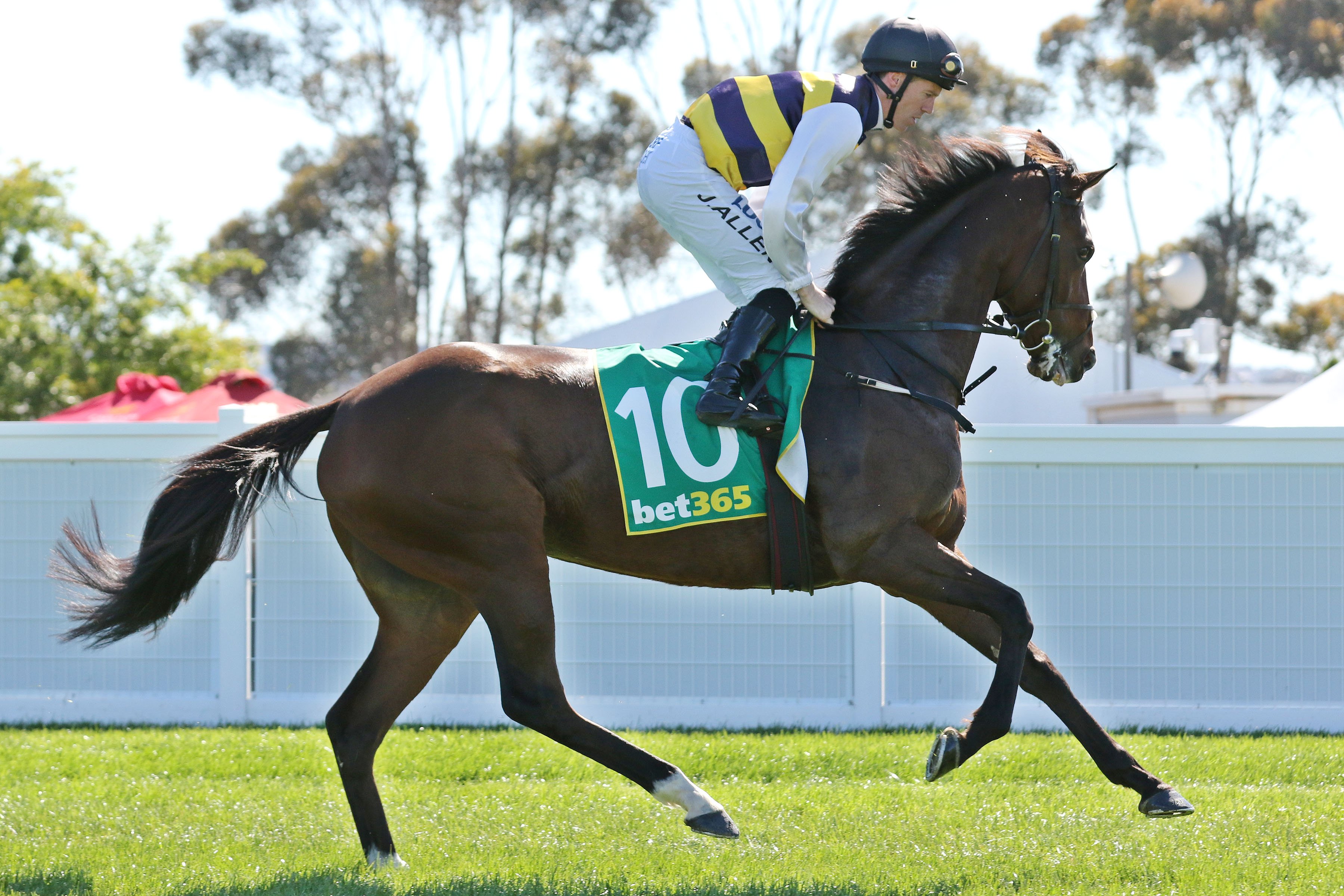 Mackinnon Stakes day Tips and Bets Flemington Races 9/11/2019