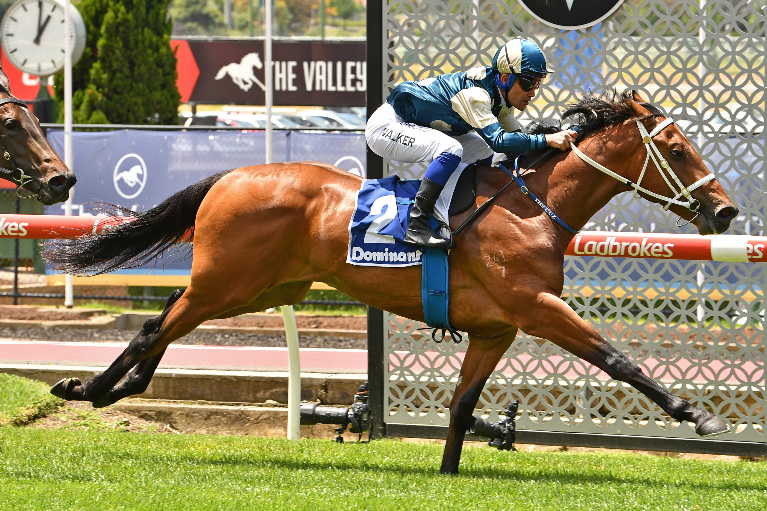 Tagaloa races into Magic Millions Classic contention | Sports News ...