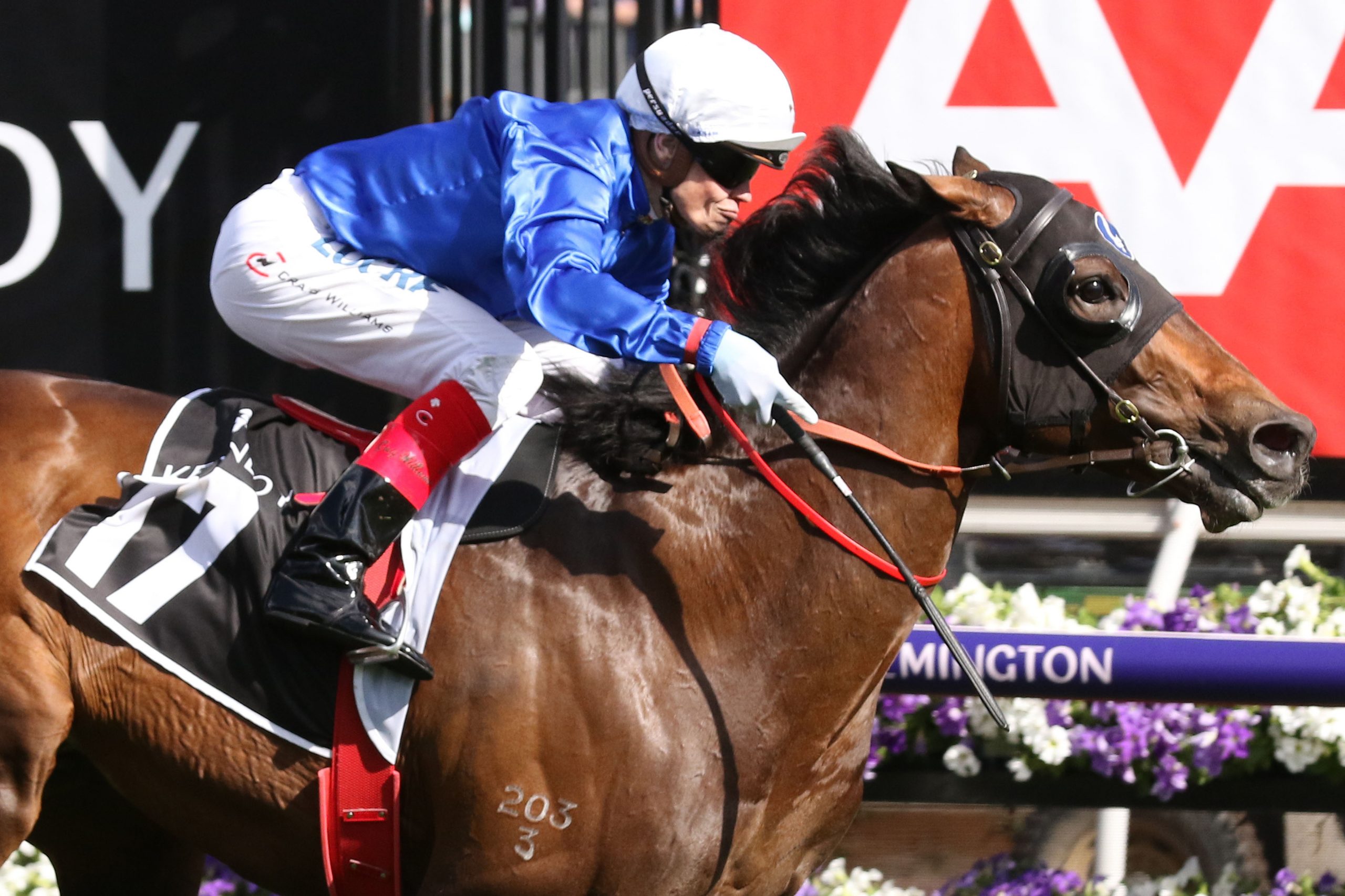 Godolphin with two horses in Kingston Town Classic field Sports News