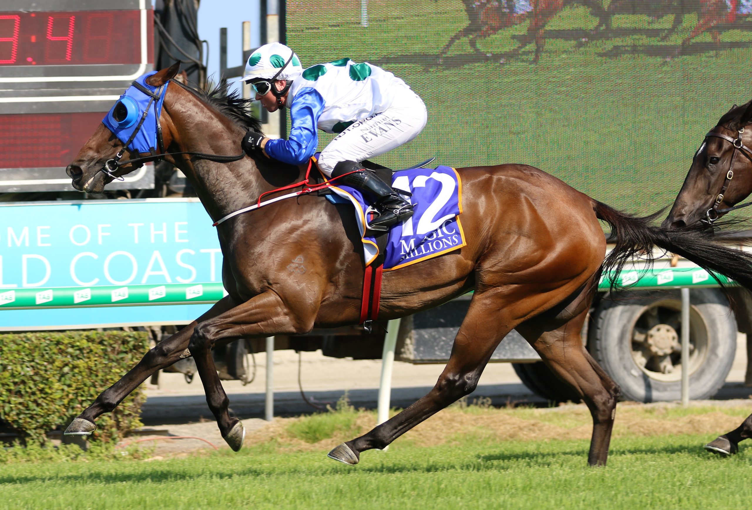Clockwise wins the Magic Millions Country Cup Sports News Australia