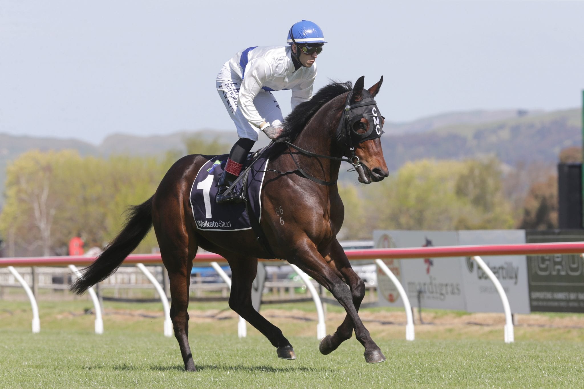 Catalyst to make Australian debut in C S Hayes Stakes | Sports News ...