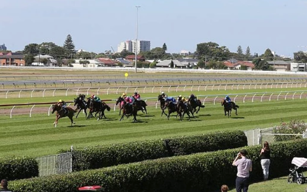 The Hunter day Tips and Bets Newcastle Races 14/11/2020 Sports News
