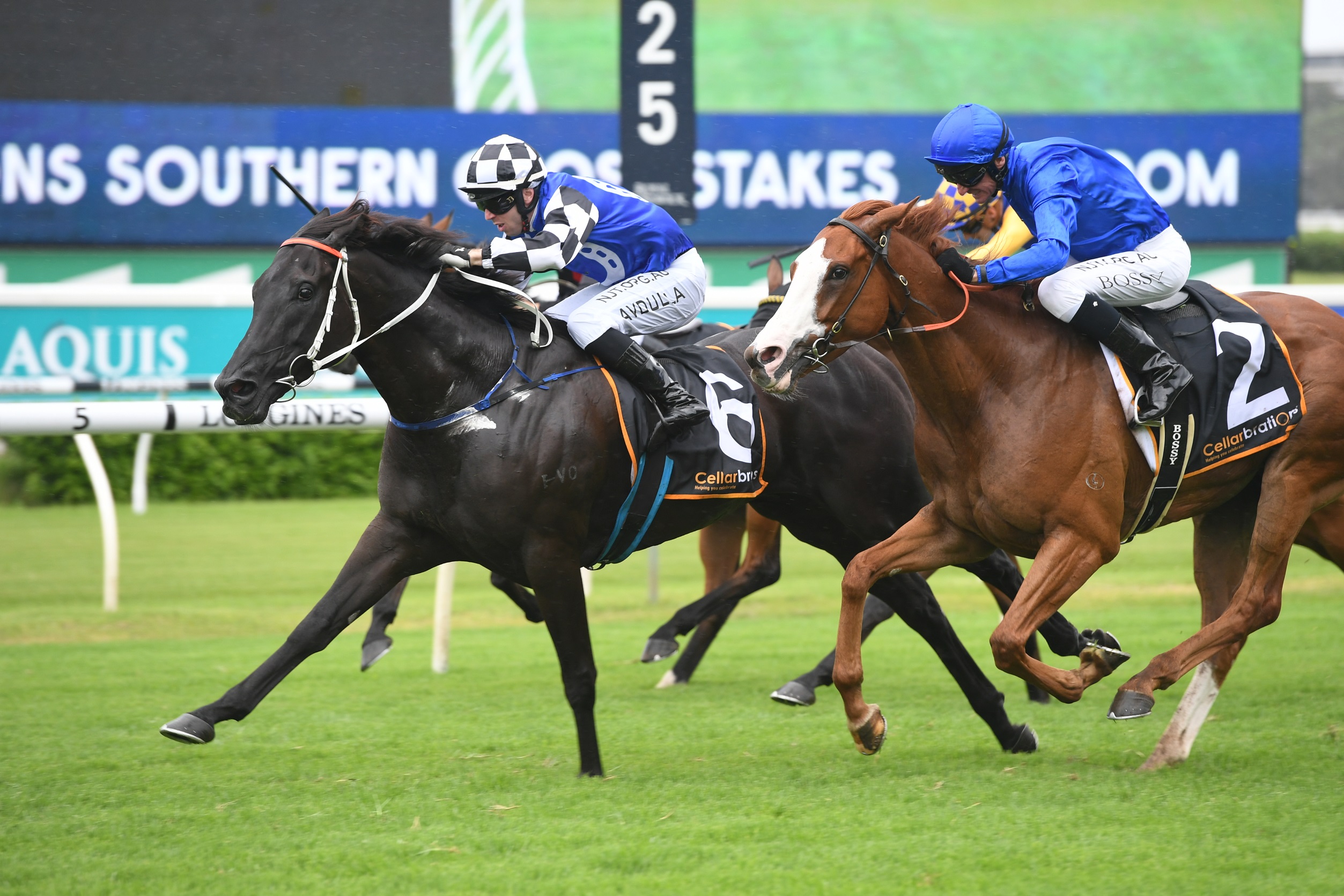 Special Reward to target Newcastle Newmarket Sports News Australia