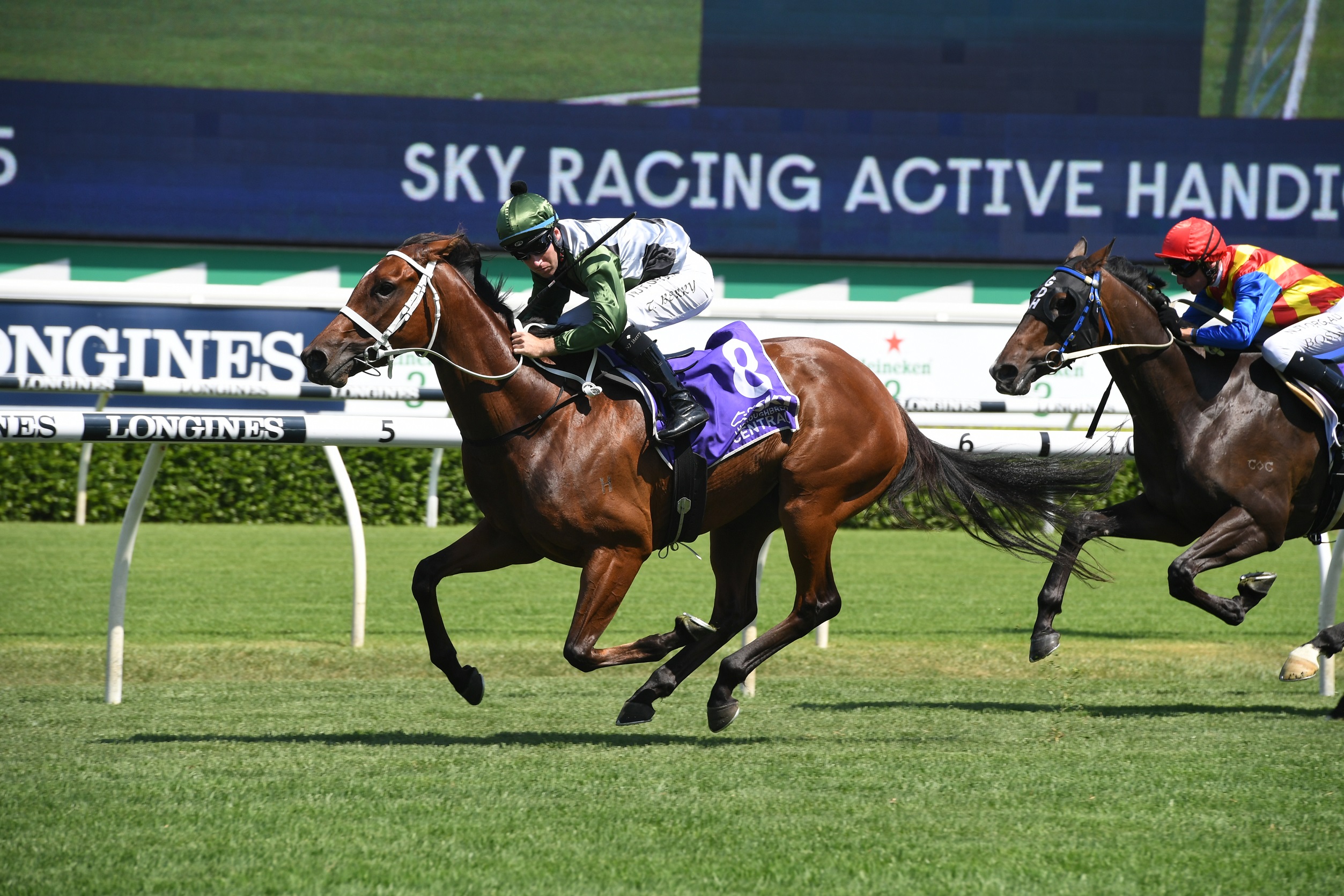 Chris Waller unveils big ambitions for Subpoenaed Sports News Australia