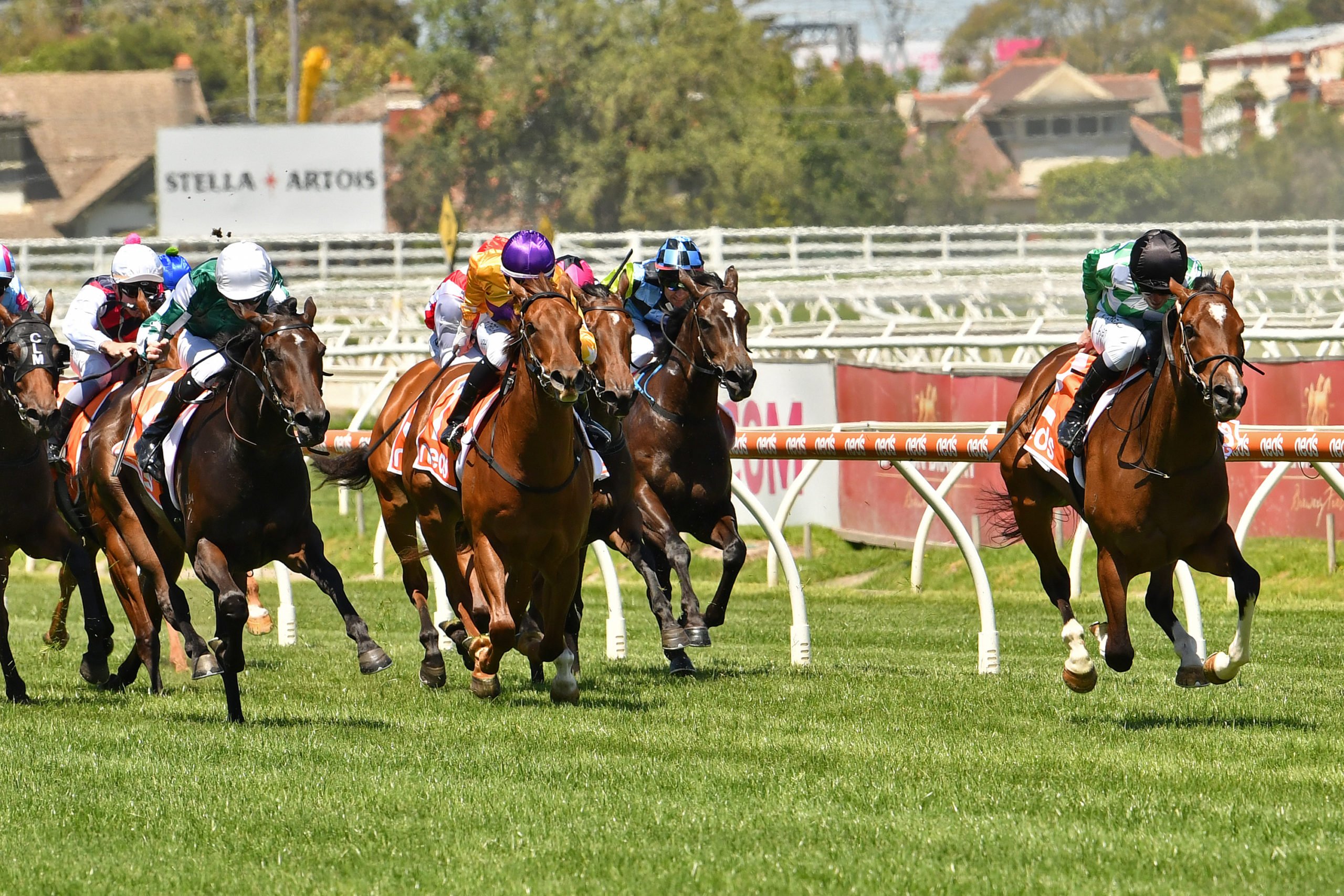 Full Field for the G1 Blue Diamond Stakes Sports News Australia
