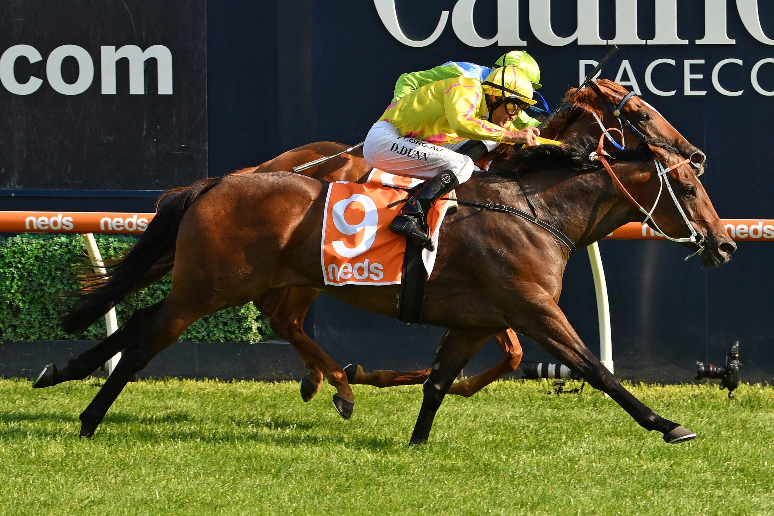 Sylvia's Mother could target Newmarket Handicap Sports News Australia