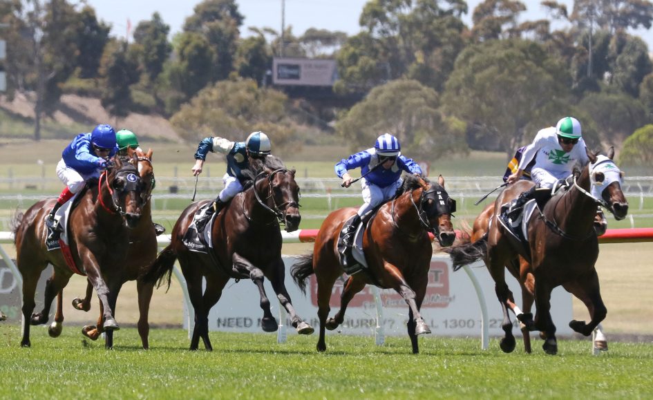 Sandown Ladbrokes Park Races Tips Race Previews And Selections 1 9 2021 Sports News Australia