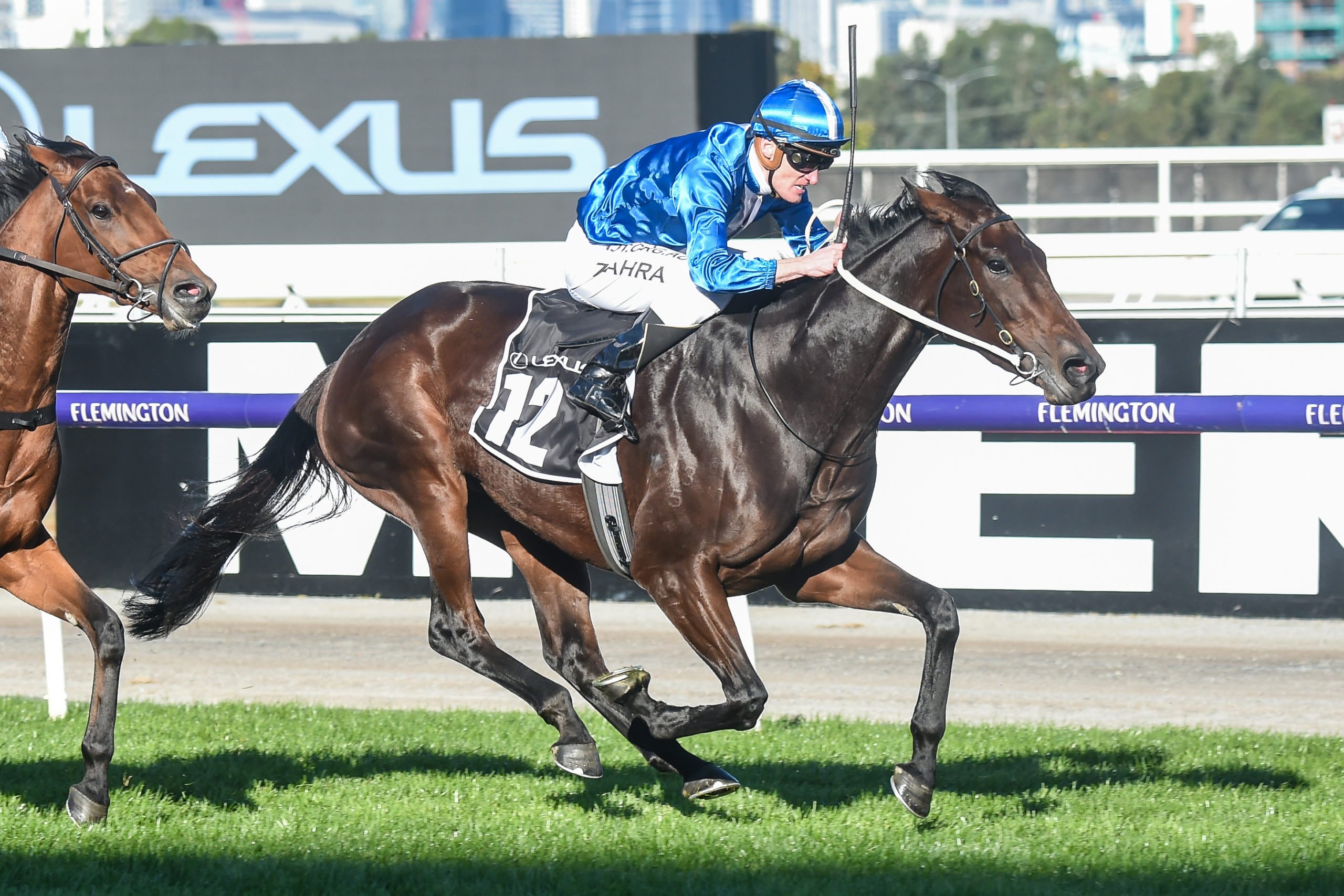 Oceanex races into the Melbourne Cup 2020 Sports News Australia