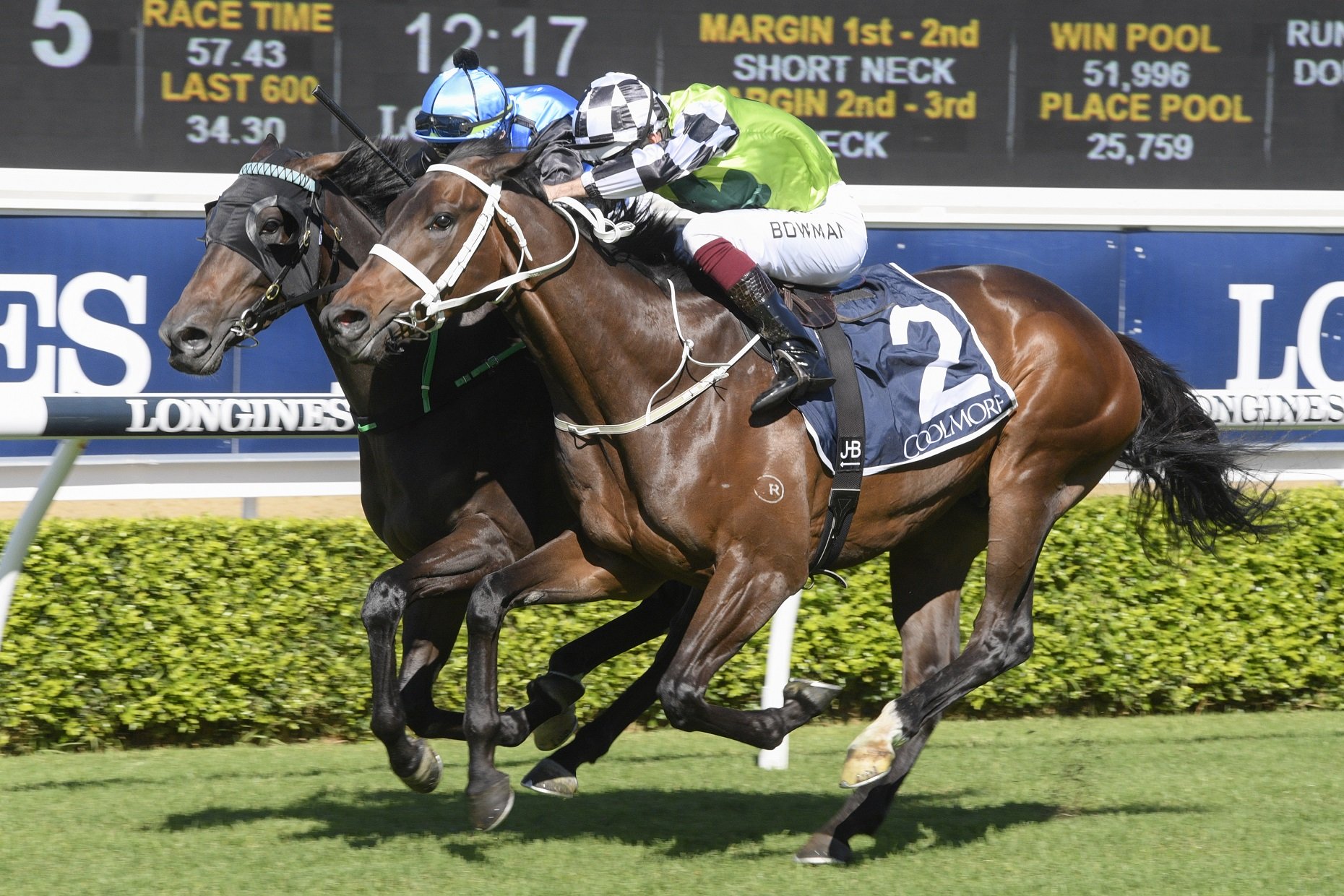 2020 Melbourne Cup could be a long range plan for Yonkers Sports News