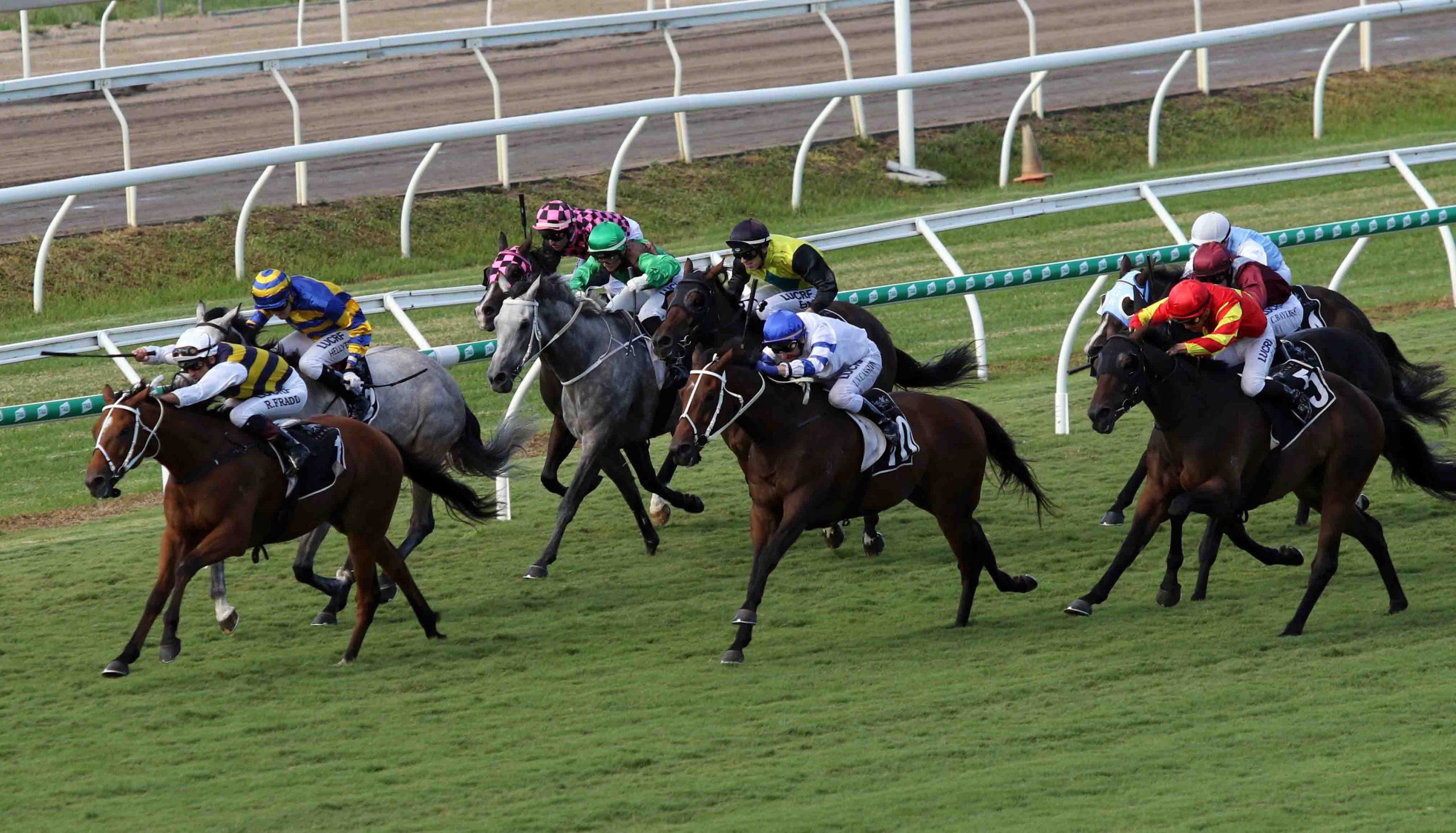 Regional Racing Qld RQ consolidates metro regions | Sports News Australia